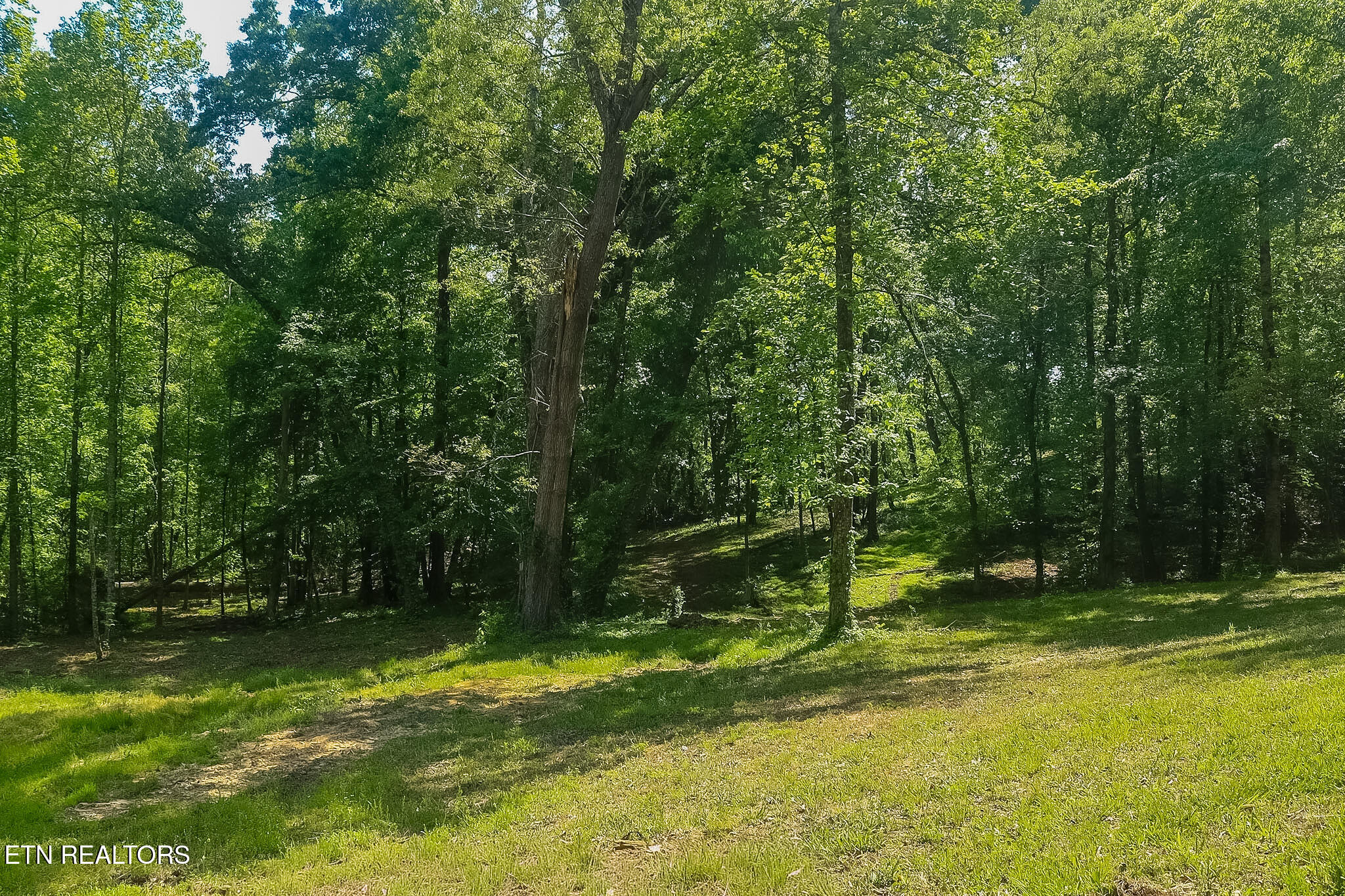 984 Deerwood Drive Dandridge TN 37725