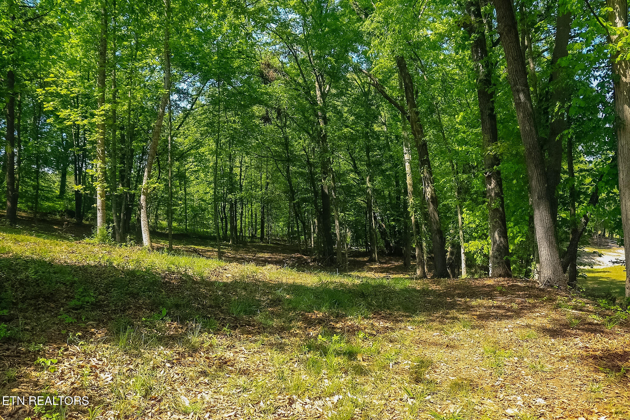 984 Deerwood Drive Dandridge TN 37725