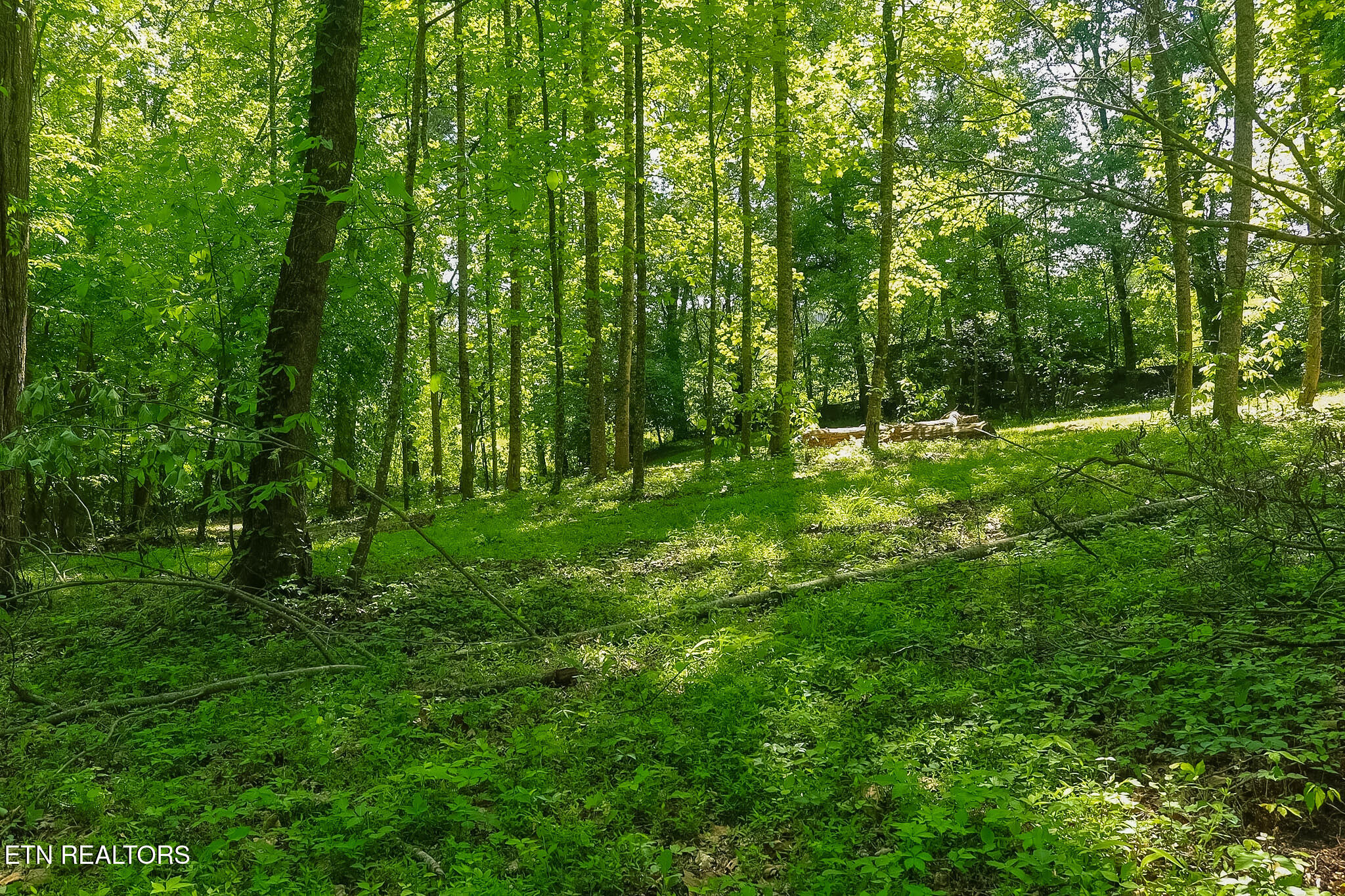 984 Deerwood Drive Dandridge TN 37725