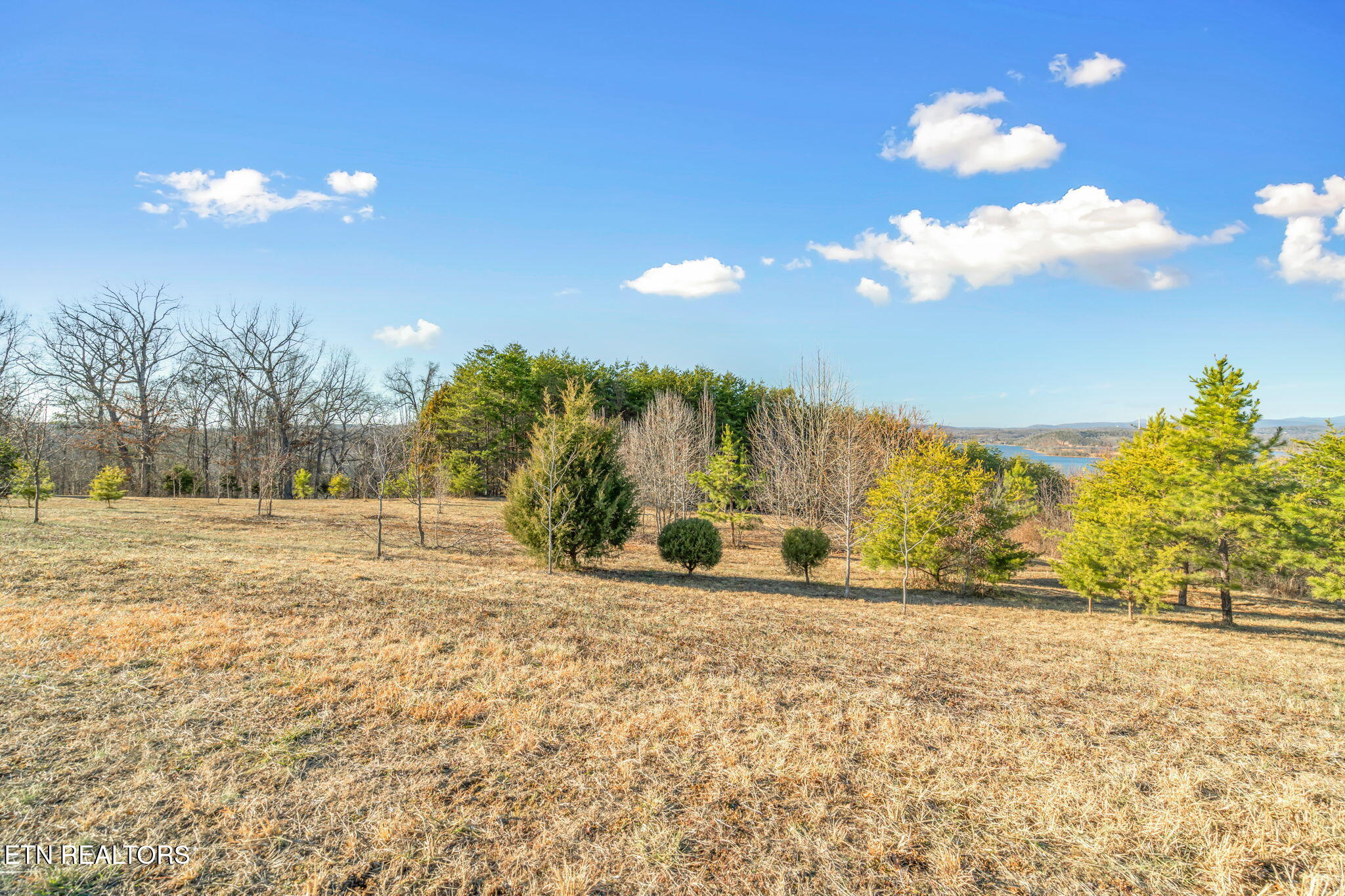 Melea Lane Kingston TN 37763