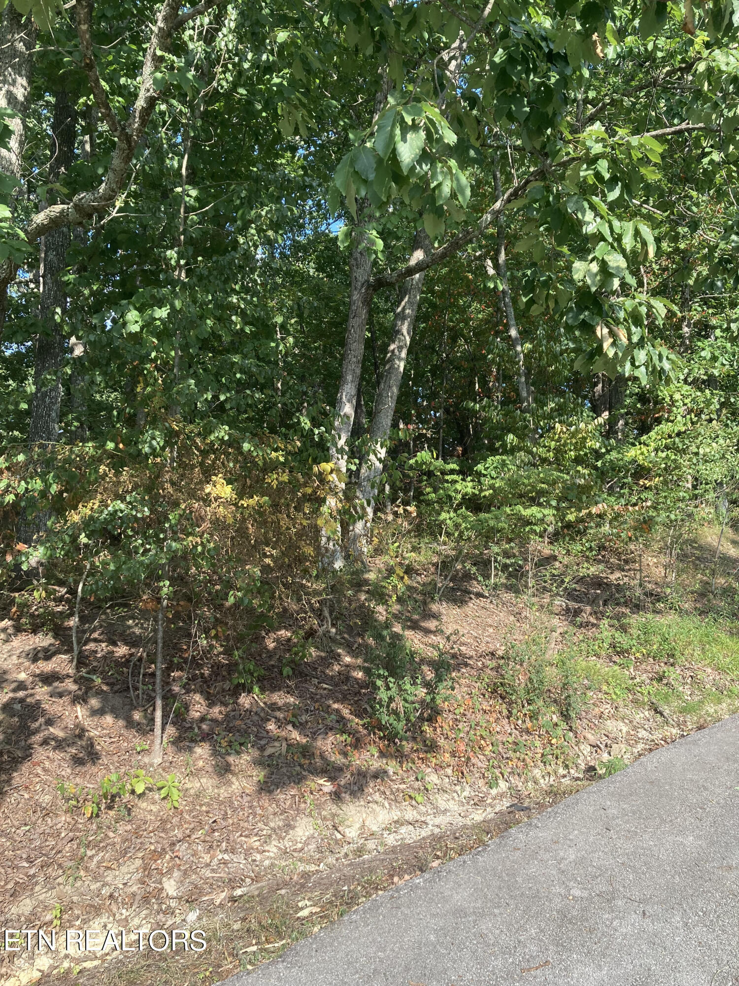 13 Killearn Court Crossville TN 38558