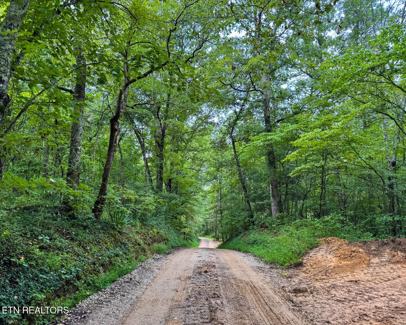 Sheep Ranch Road Robbins TN 37852
