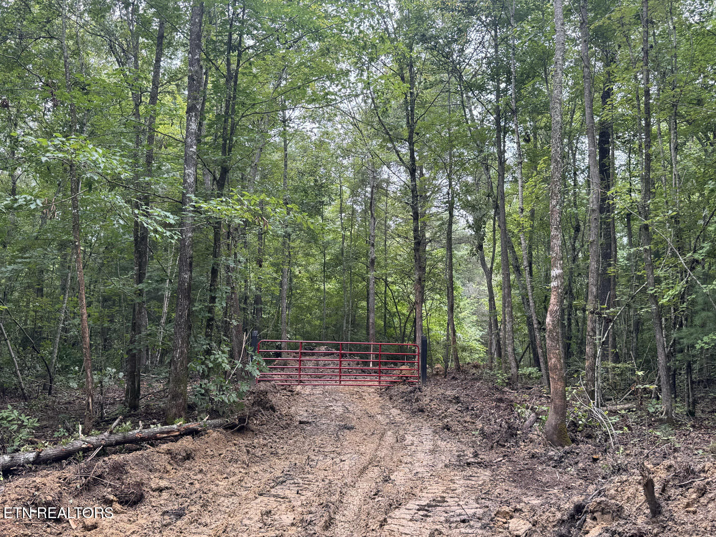 Sheep Ranch Road Robbins TN 37852