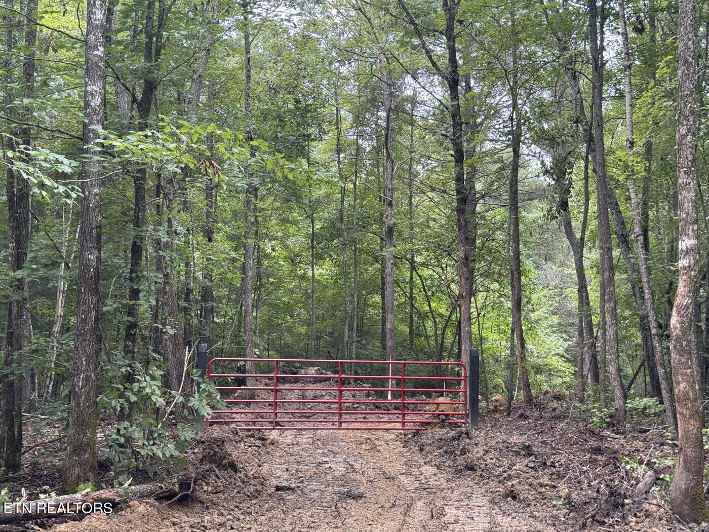 Sheep Ranch Road Robbins TN 37852