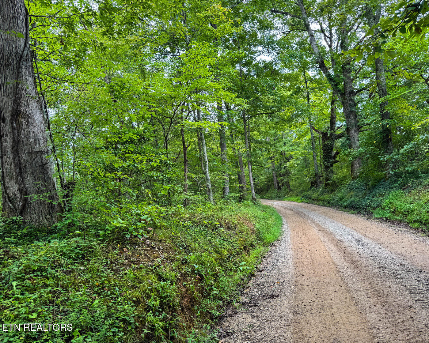 Sheep Ranch Road Robbins TN 37852
