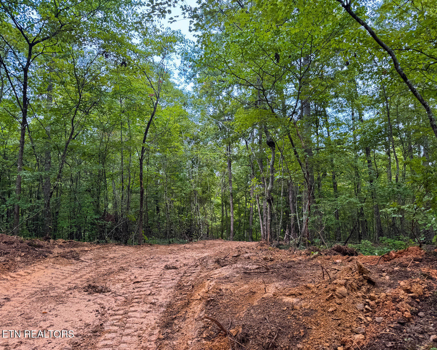 Sheep Ranch Road Robbins TN 37852
