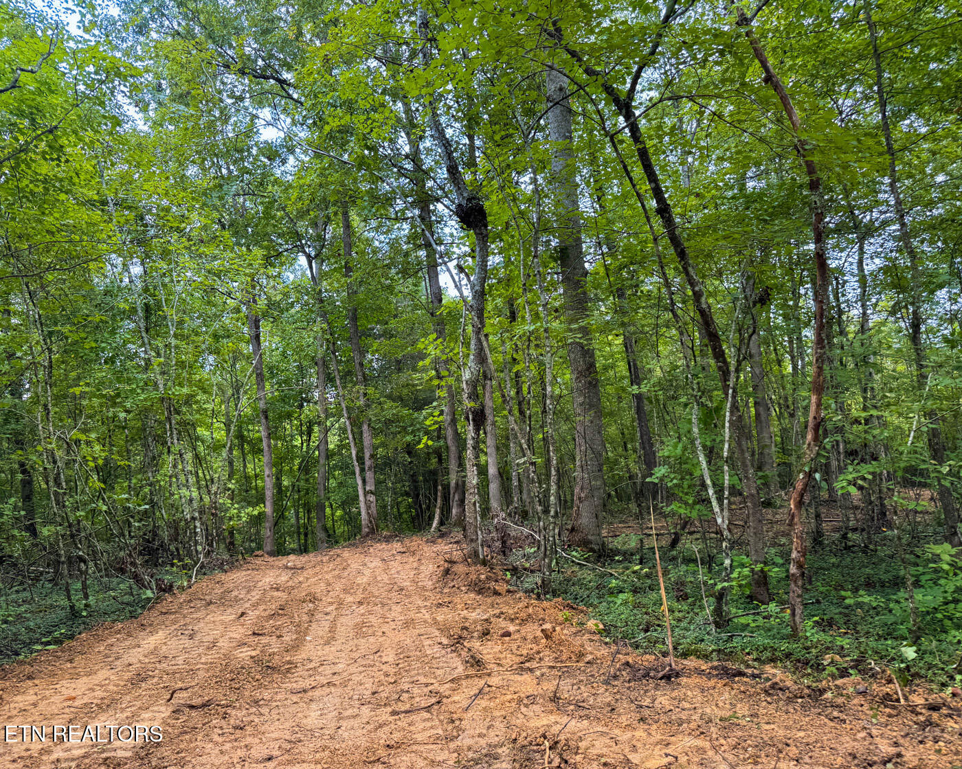 Sheep Ranch Road Robbins TN 37852
