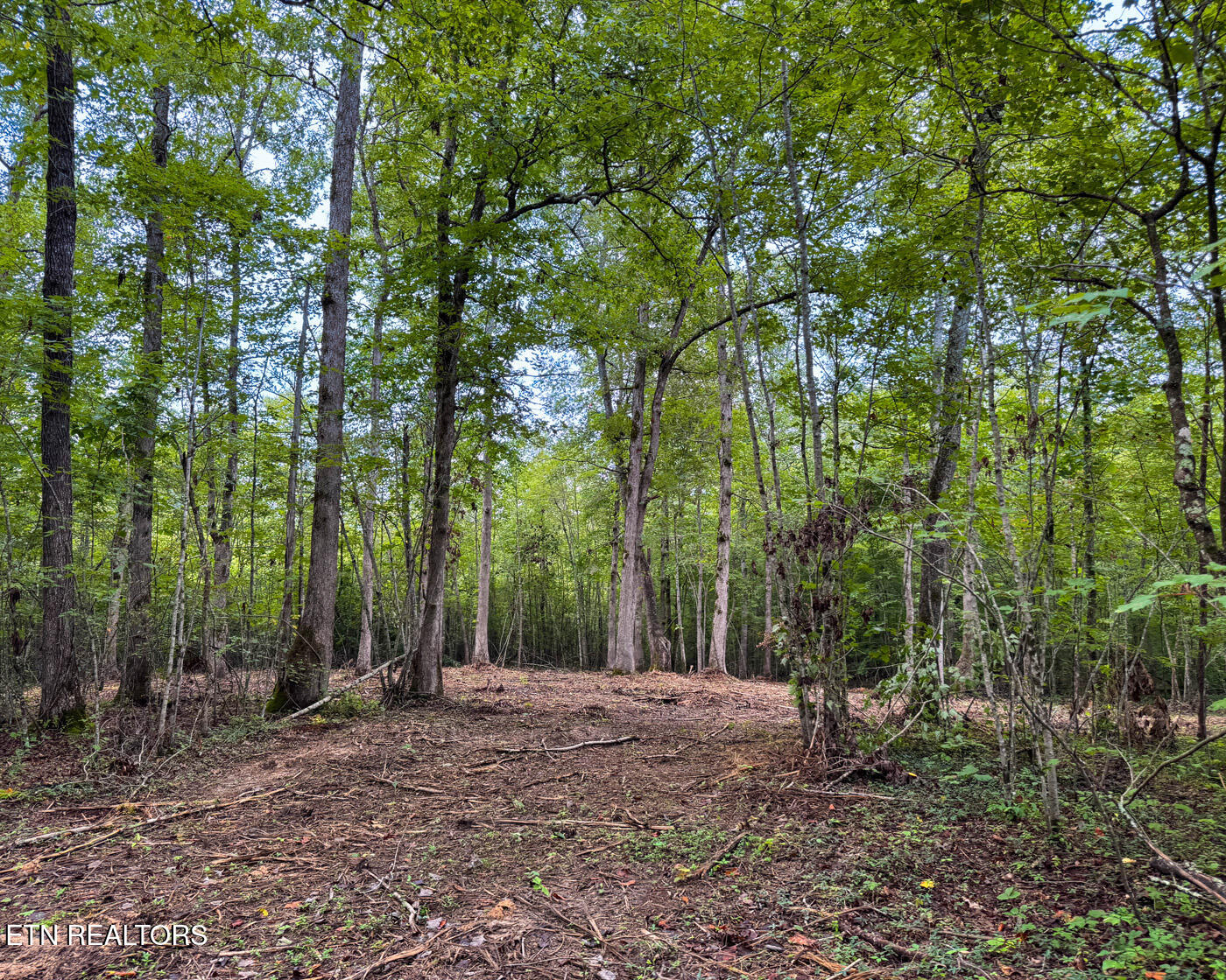 Sheep Ranch Road Robbins TN 37852