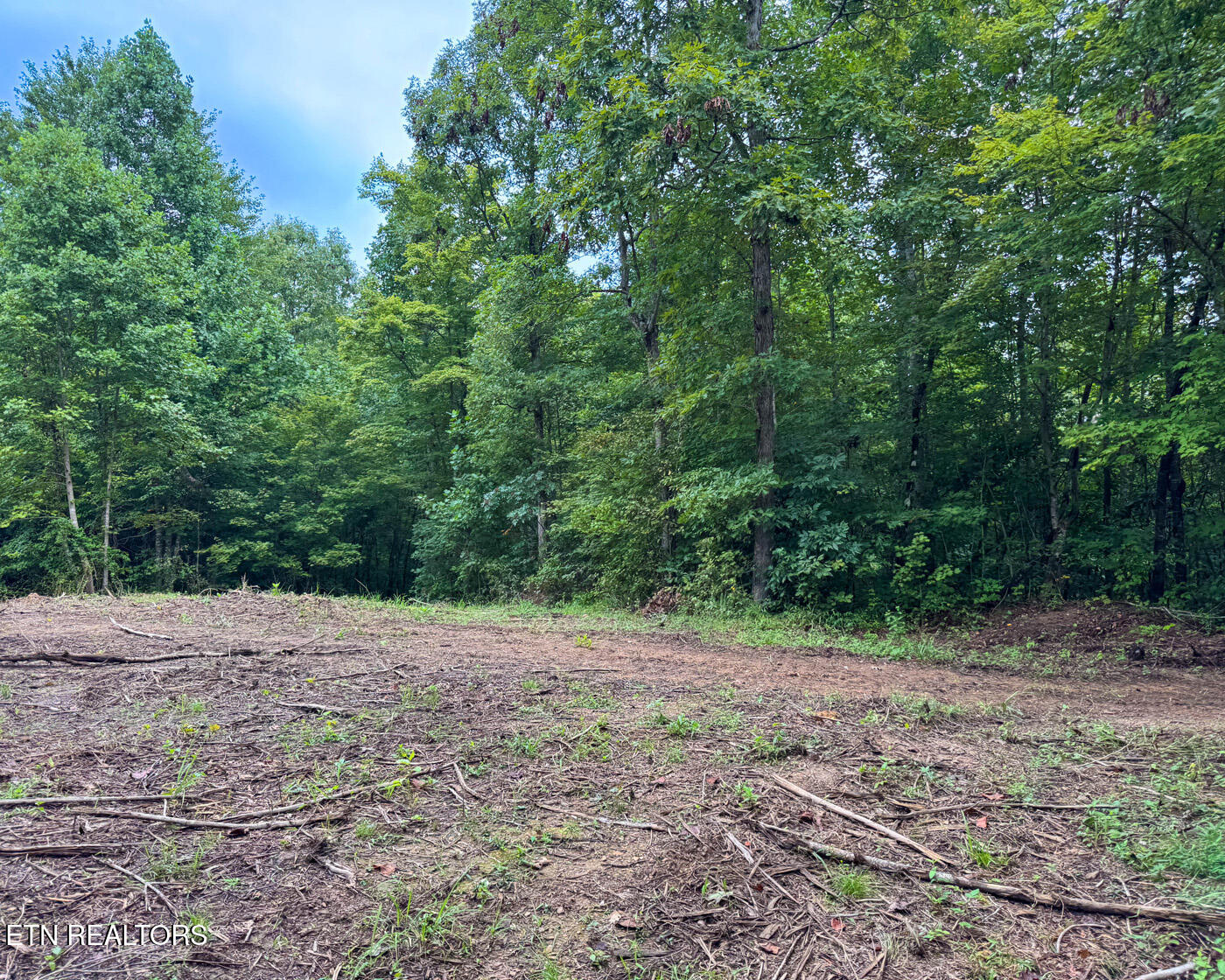 Sheep Ranch Road Robbins TN 37852