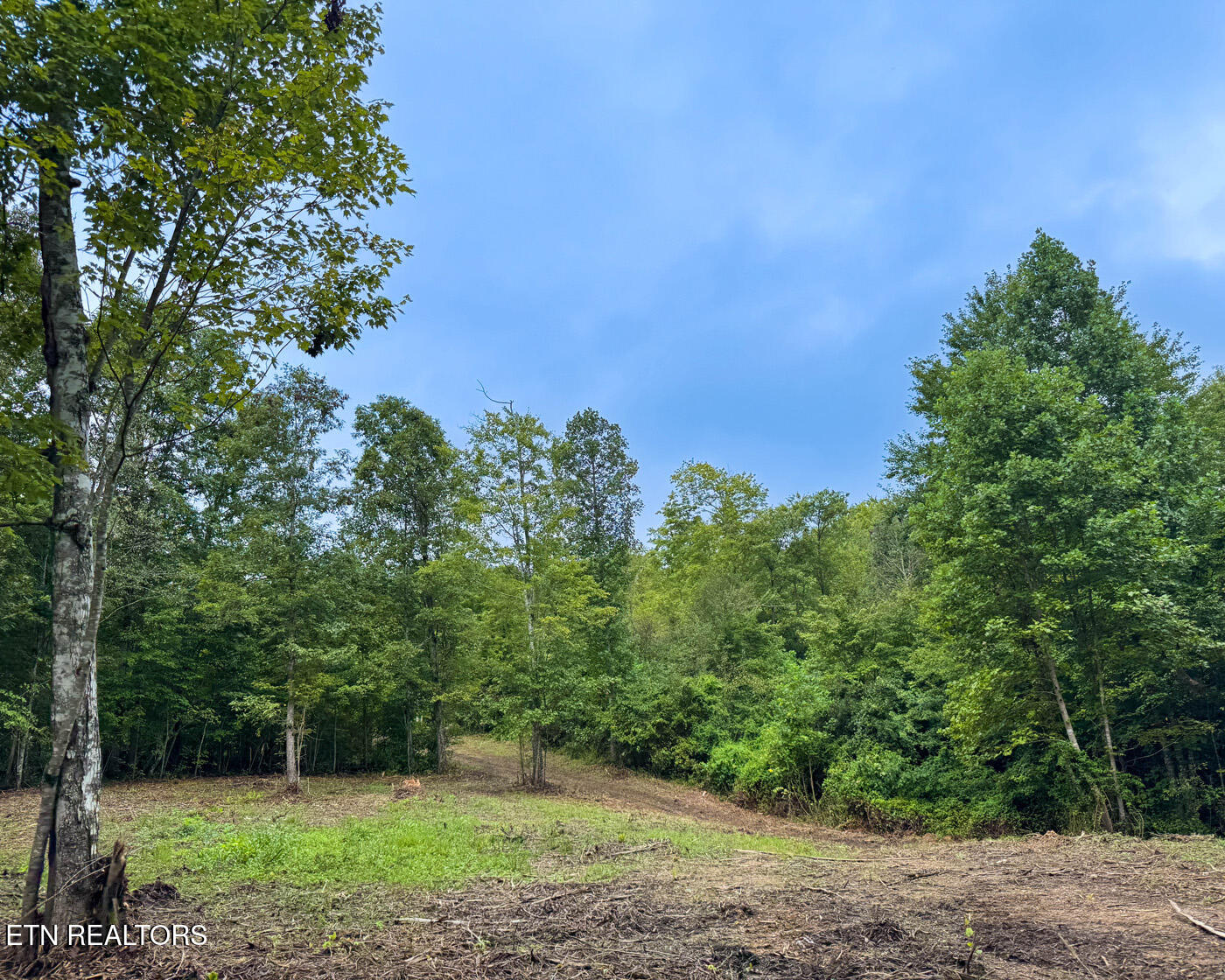 Sheep Ranch Road Robbins TN 37852