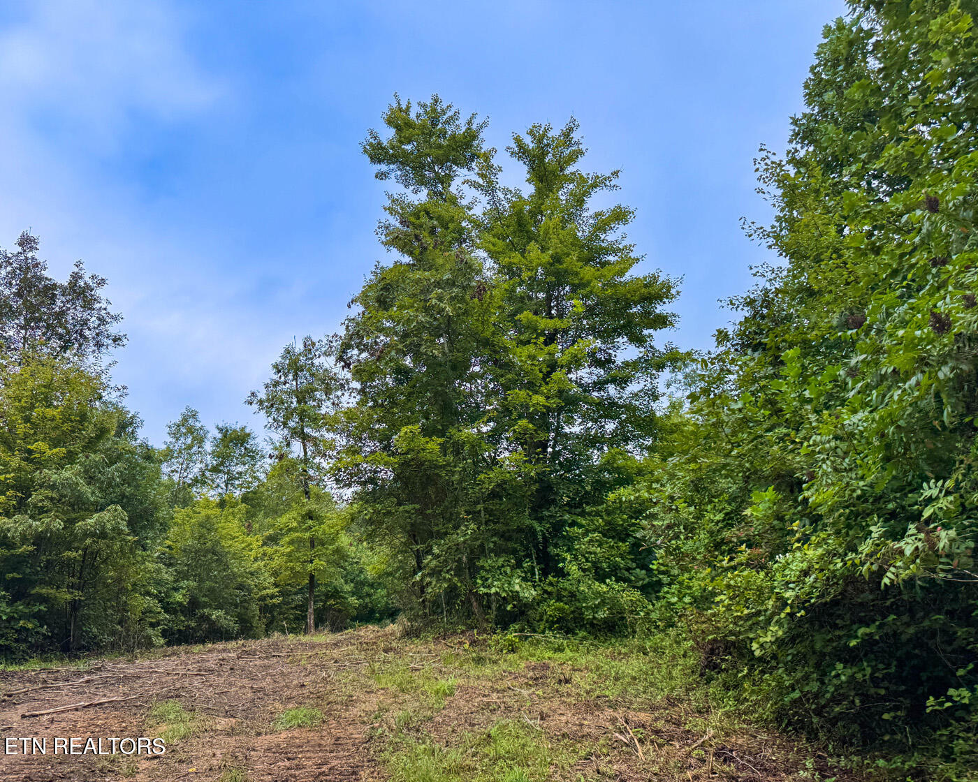 Sheep Ranch Road Robbins TN 37852