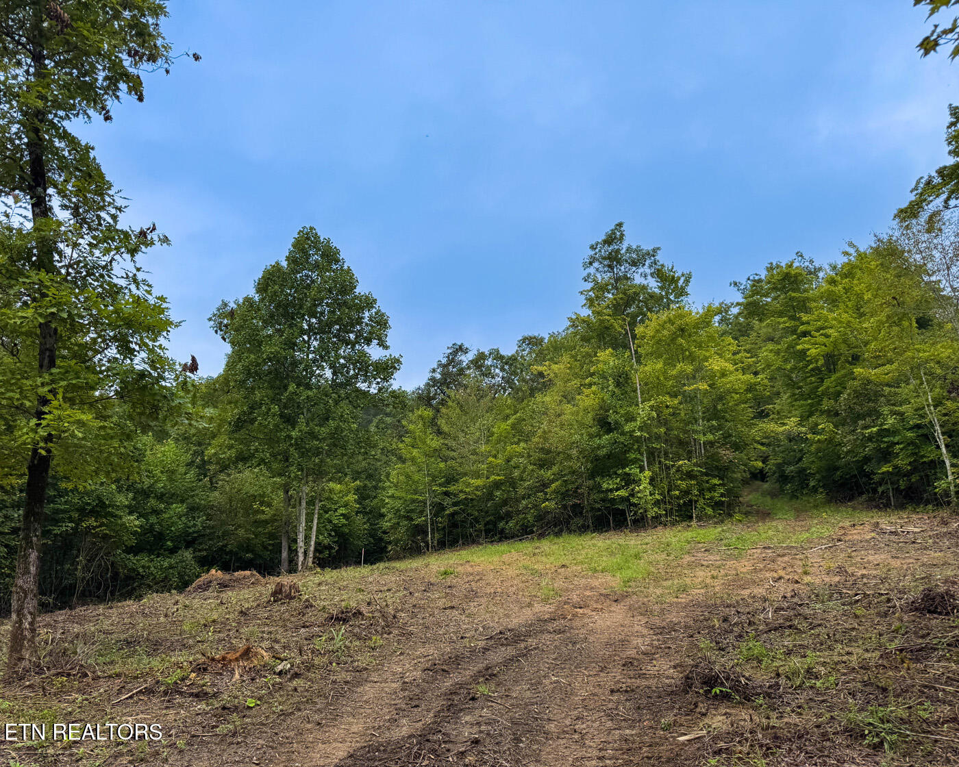 Sheep Ranch Road Robbins TN 37852