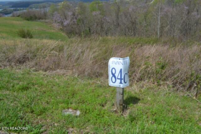 Lot 84c Mallard Road Hilham TN 38568