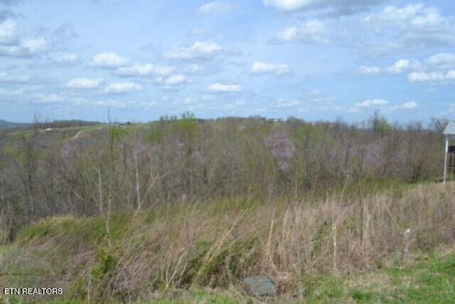 Lot 84c Mallard Road Hilham TN 38568