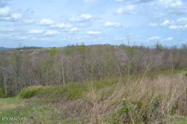 Lot 84c Mallard Road Hilham TN 38568
