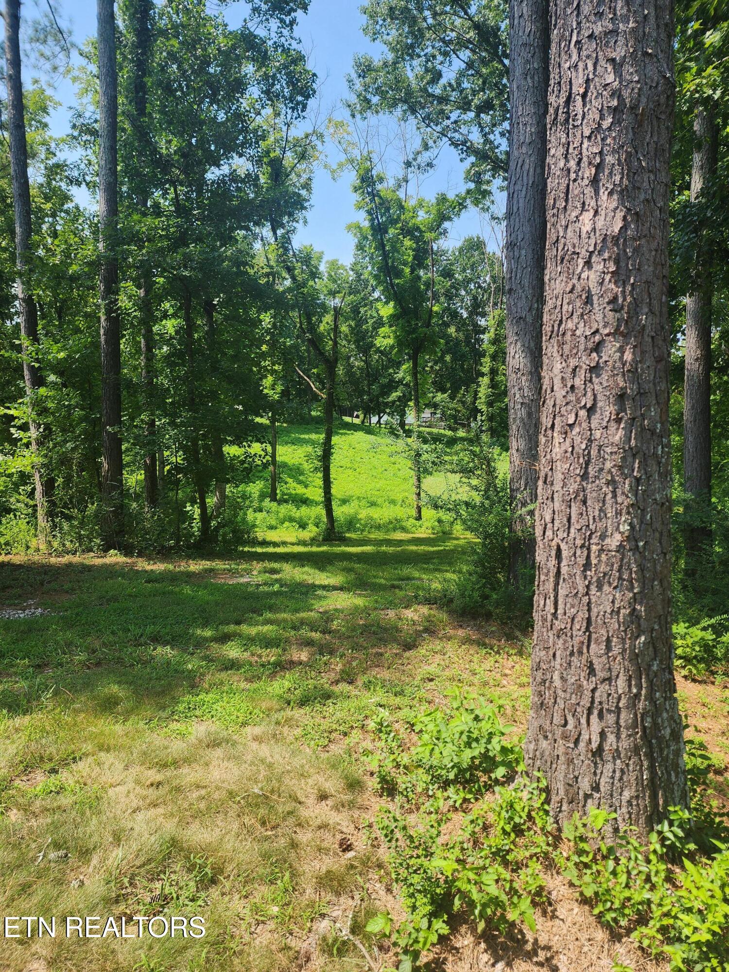 2255 Hubbard Road Loudon TN 37774