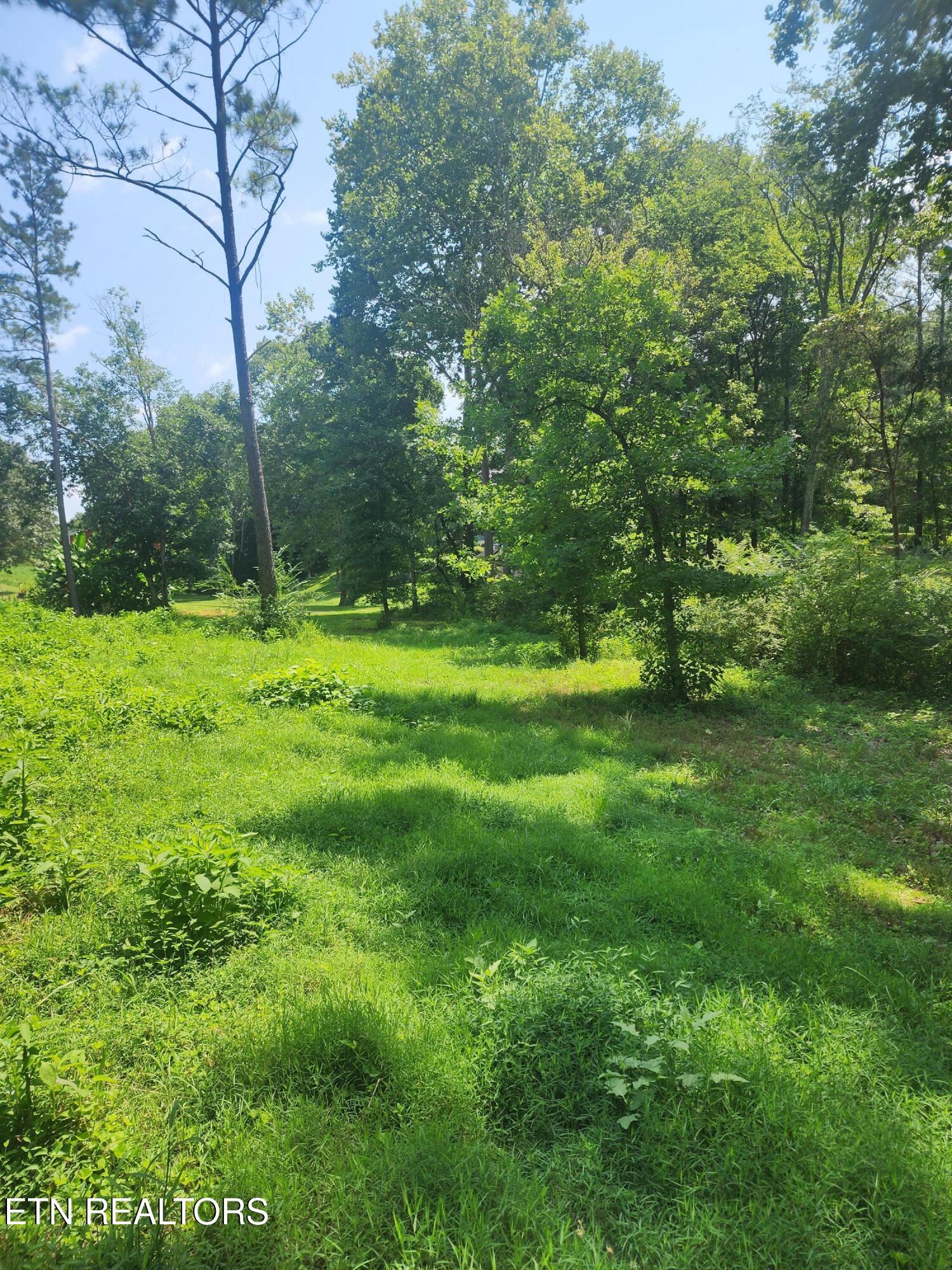 2255 Hubbard Road Loudon TN 37774