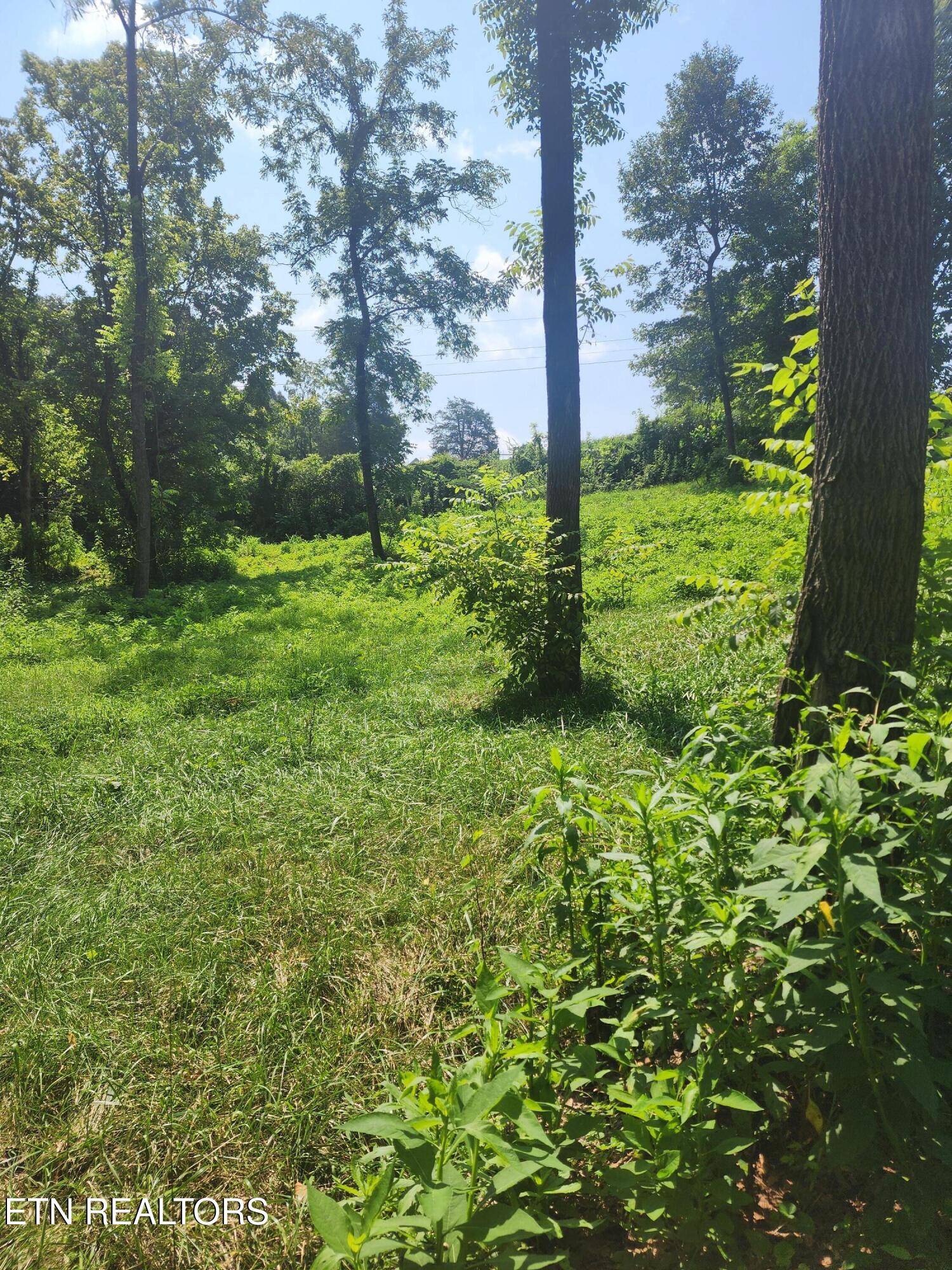 2255 Hubbard Road Loudon TN 37774