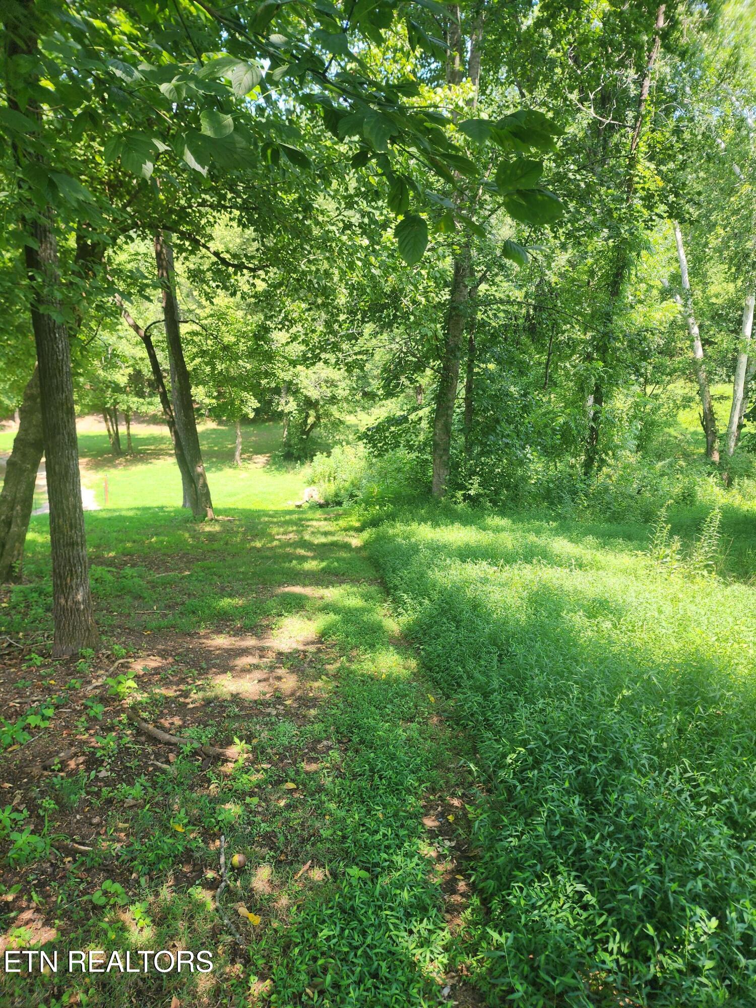 2255 Hubbard Road Loudon TN 37774