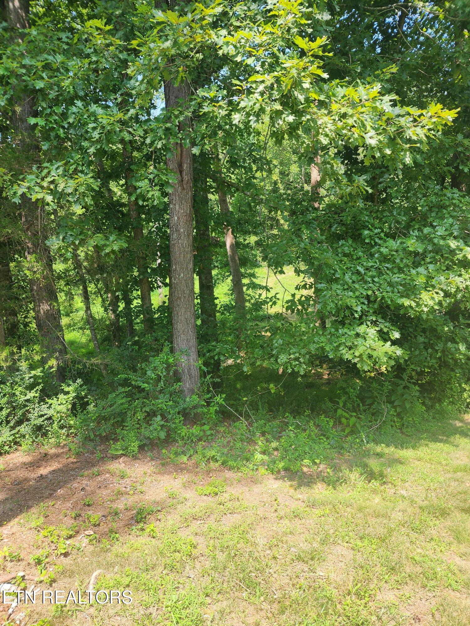 2255 Hubbard Road Loudon TN 37774