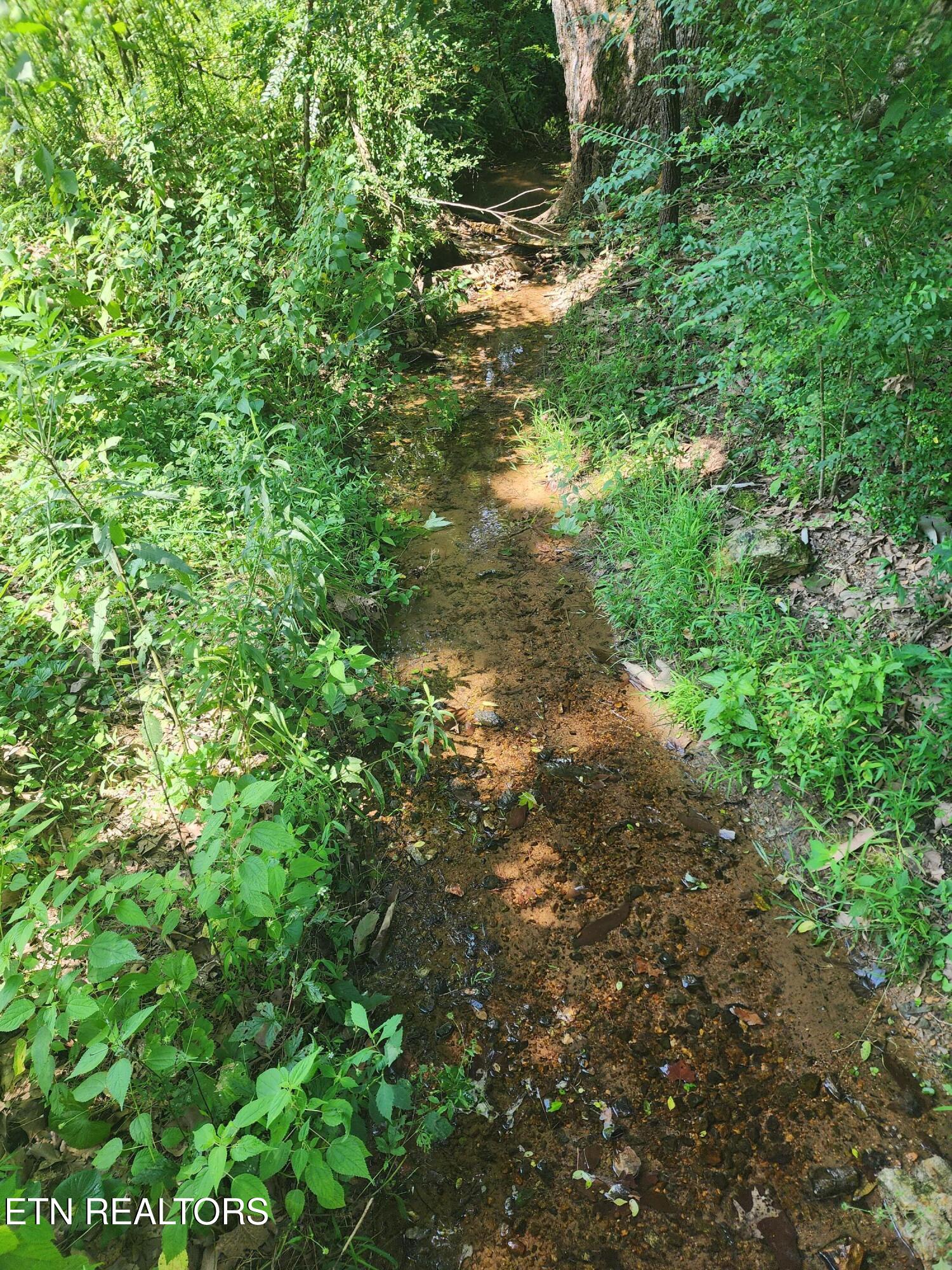2255 Hubbard Road Loudon TN 37774