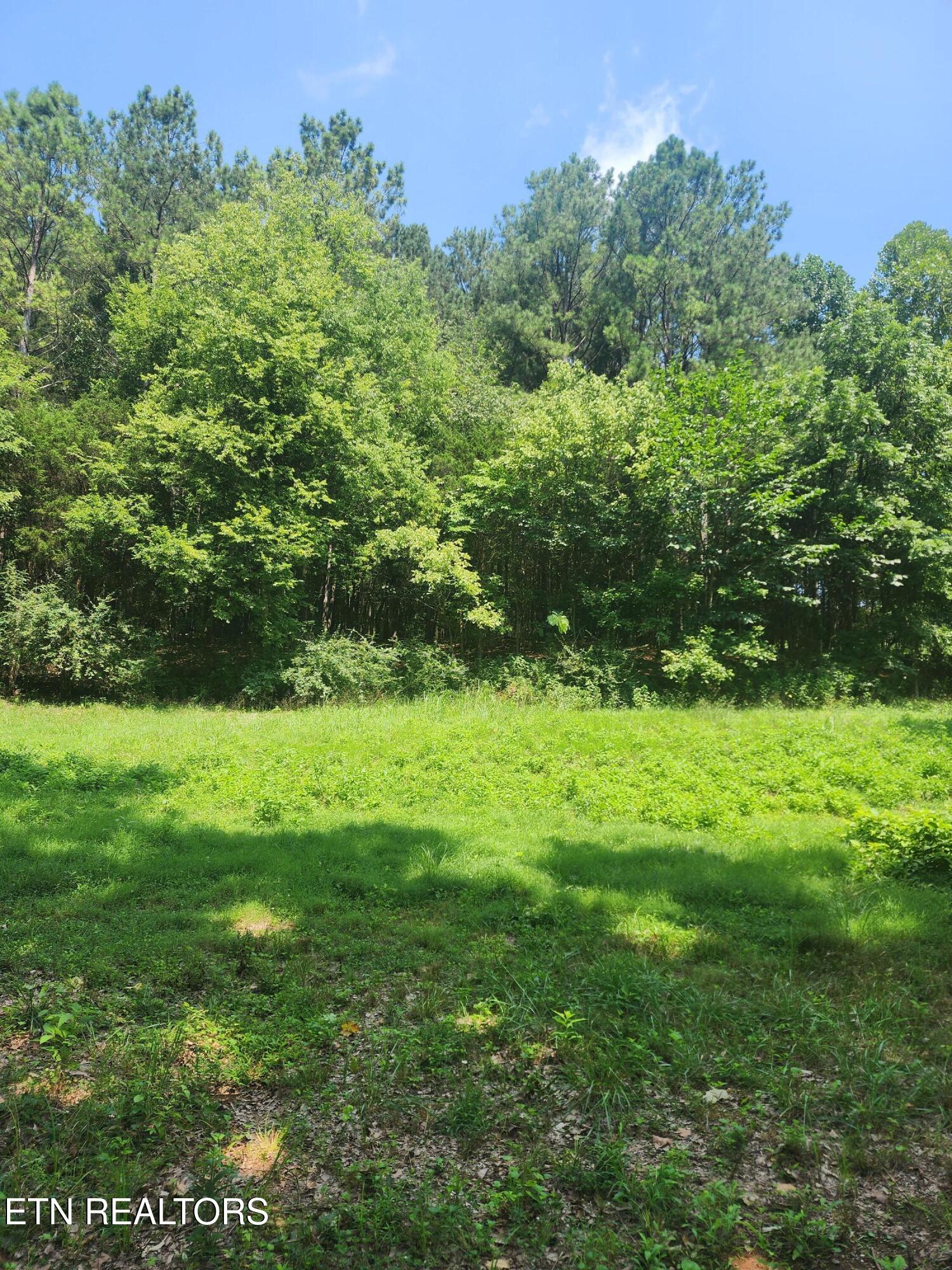 2255 Hubbard Road Loudon TN 37774