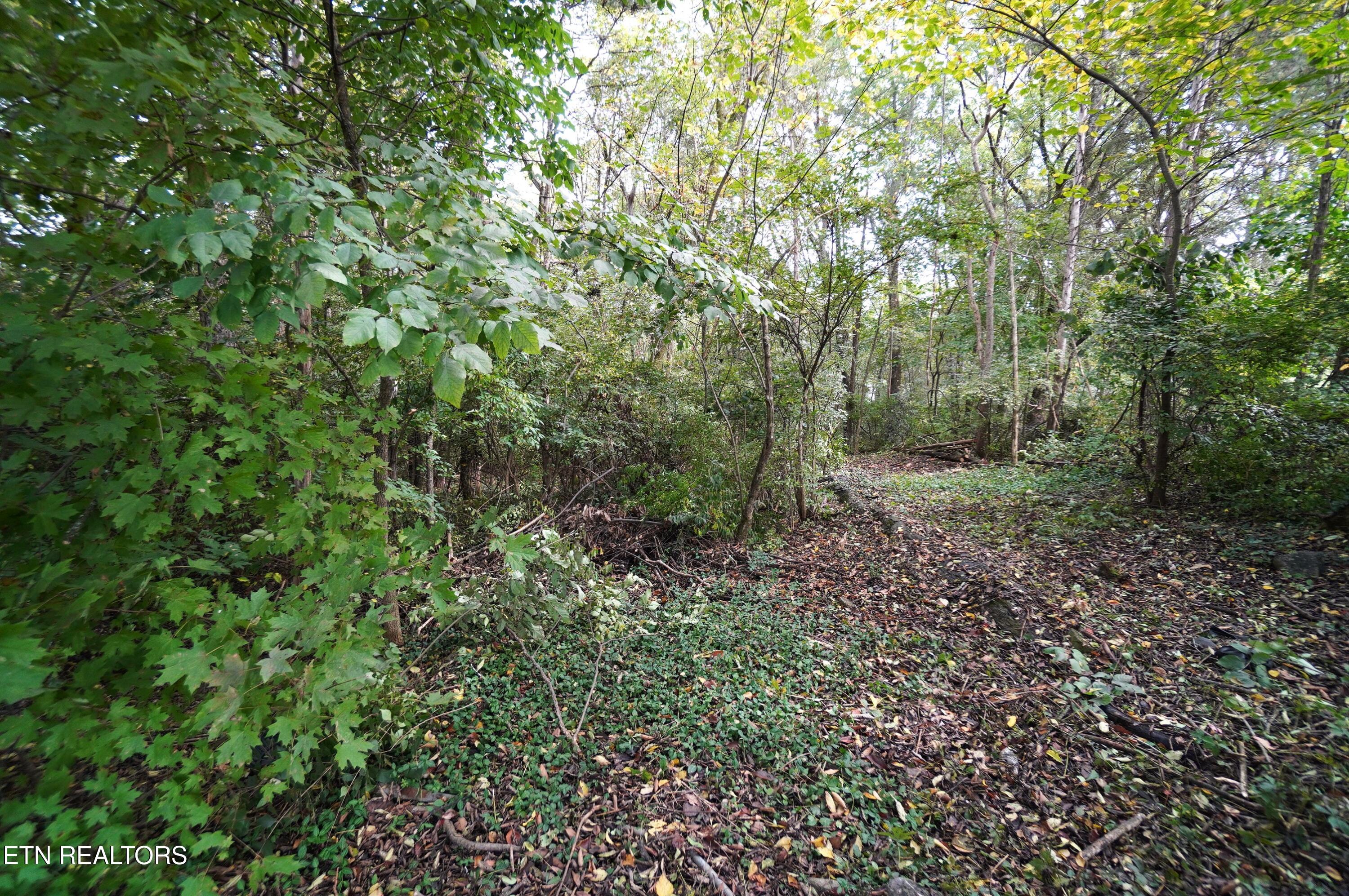 Lot 14 West View Drive Strawberry Plains TN 37871