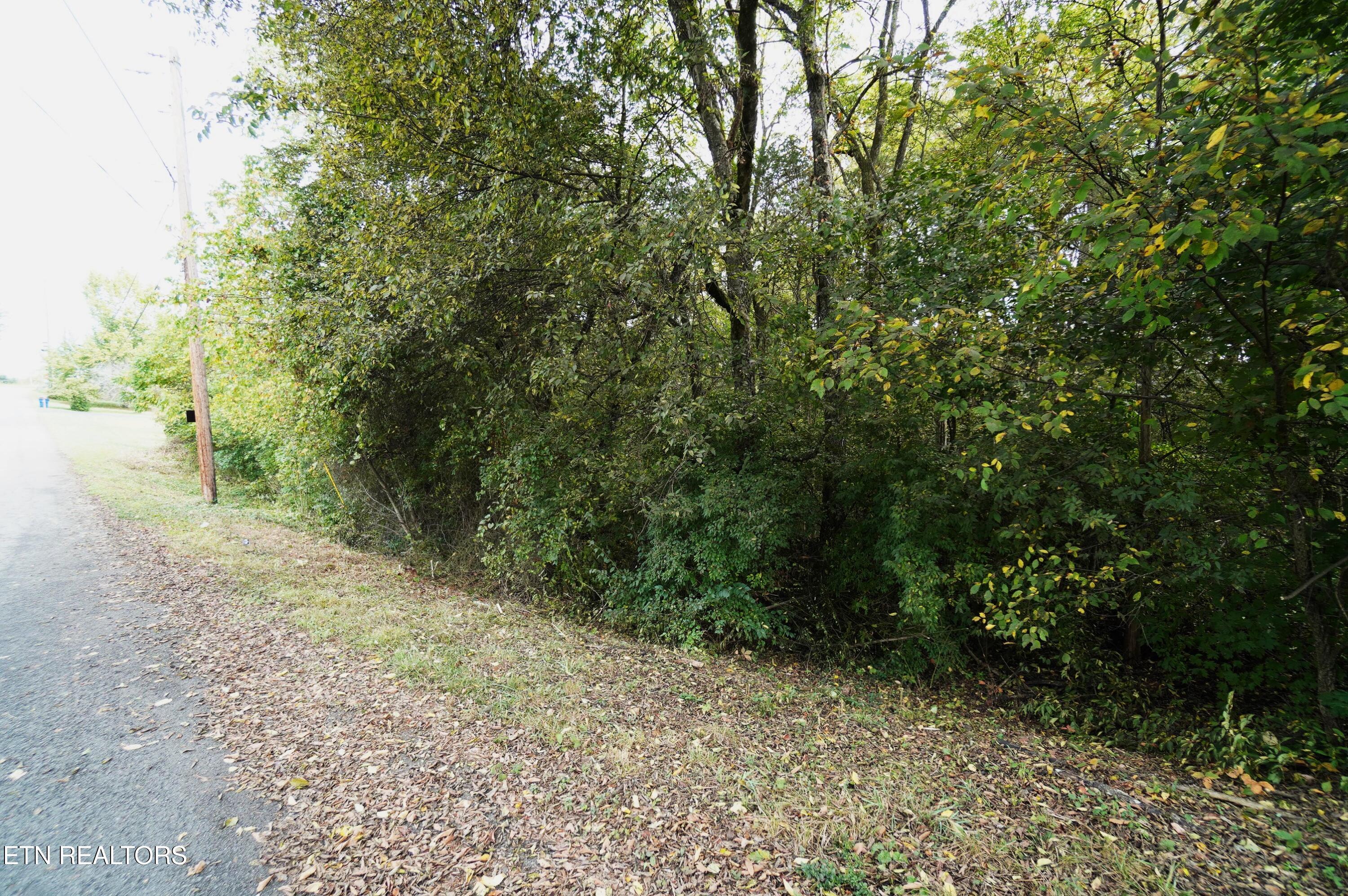 Lot 14 West View Drive Strawberry Plains TN 37871