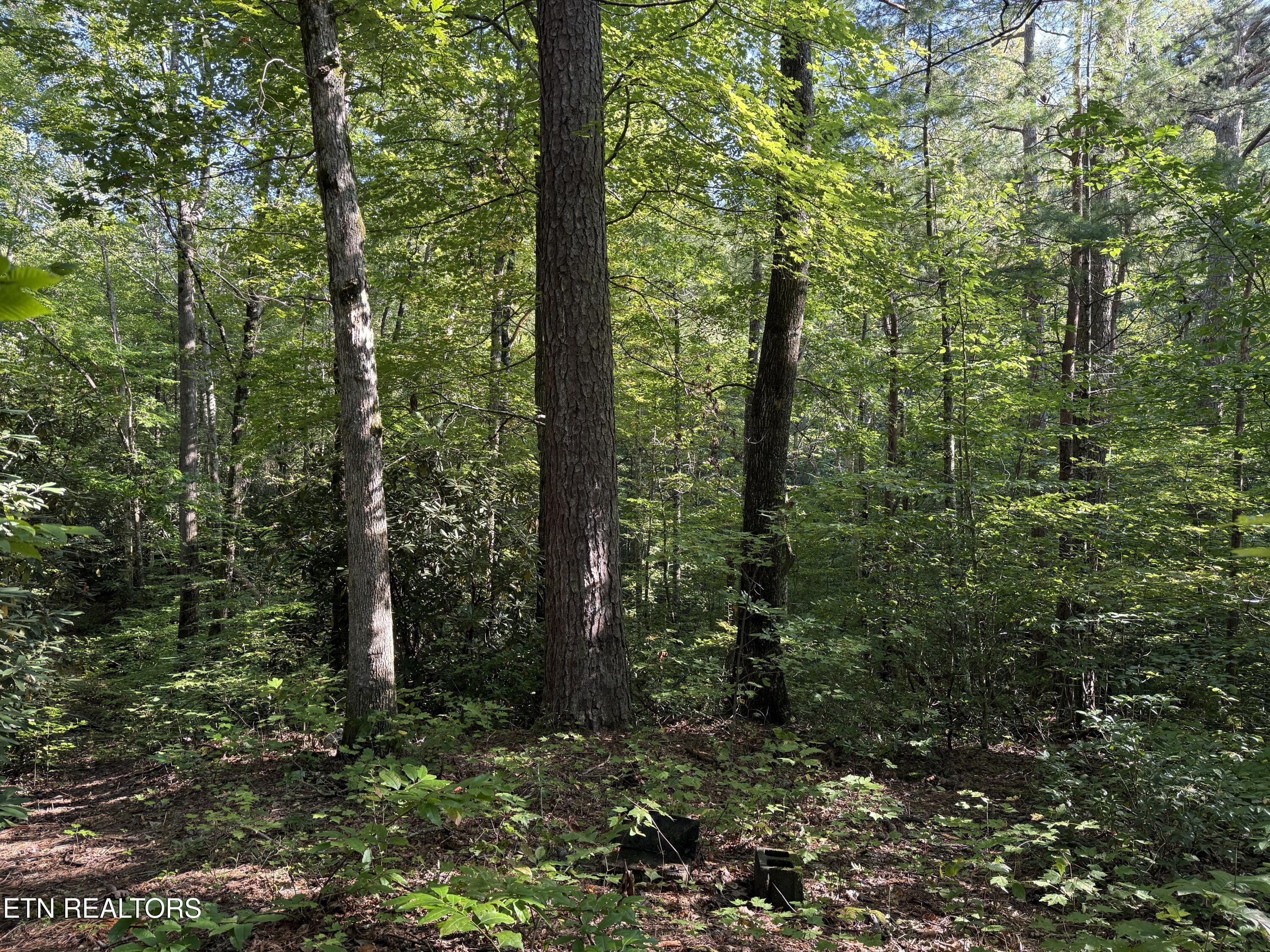 Covemont Road Sevierville TN 37862