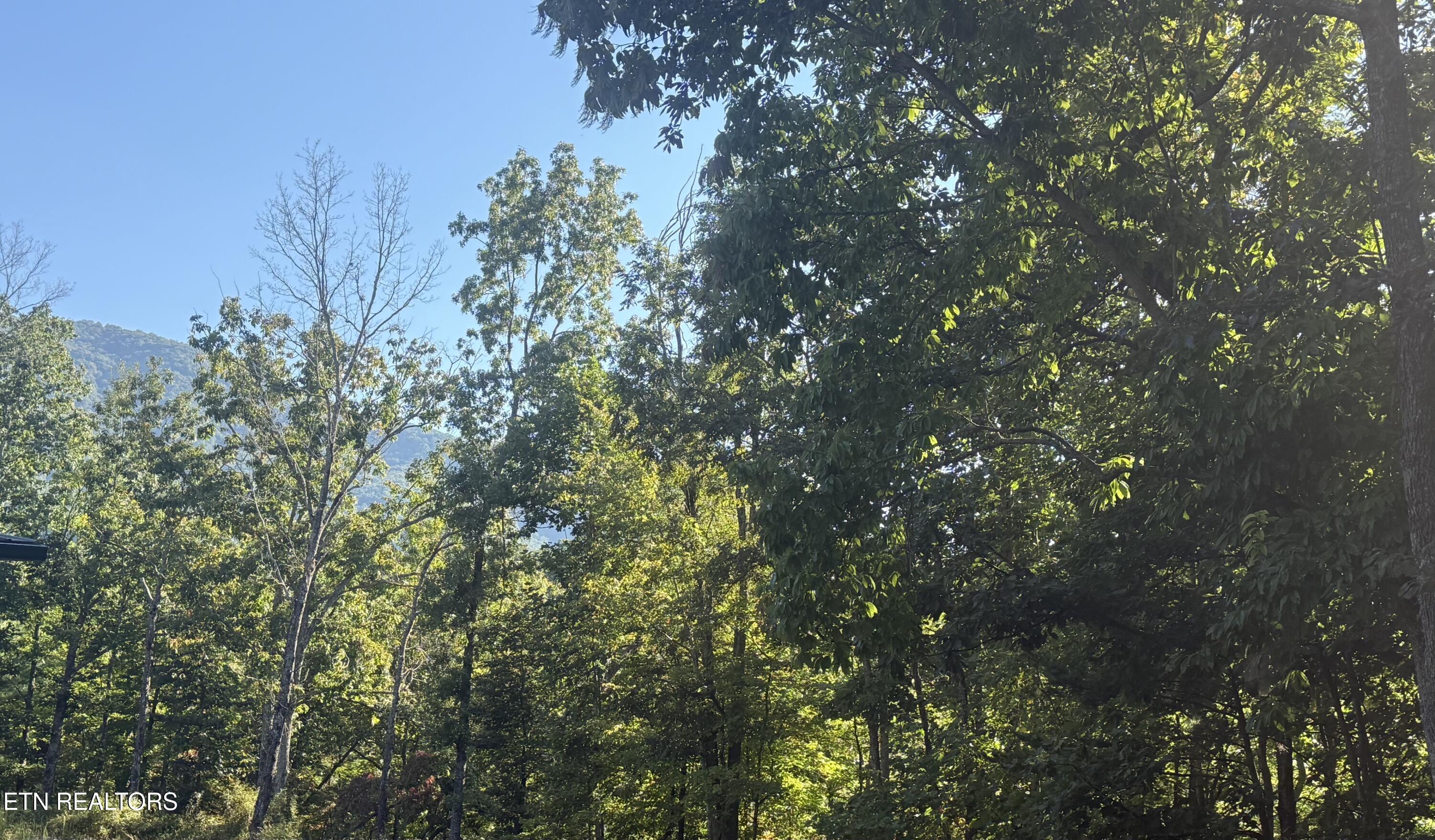 Covemont Road Sevierville TN 37862