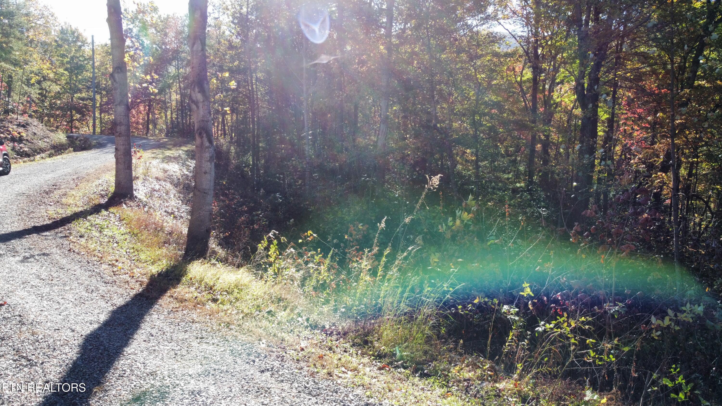 Covemont Road Sevierville TN 37862