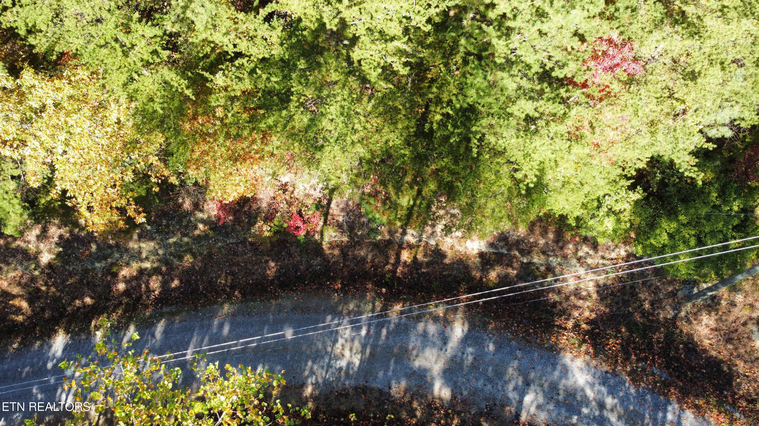 Covemont Road Sevierville TN 37862