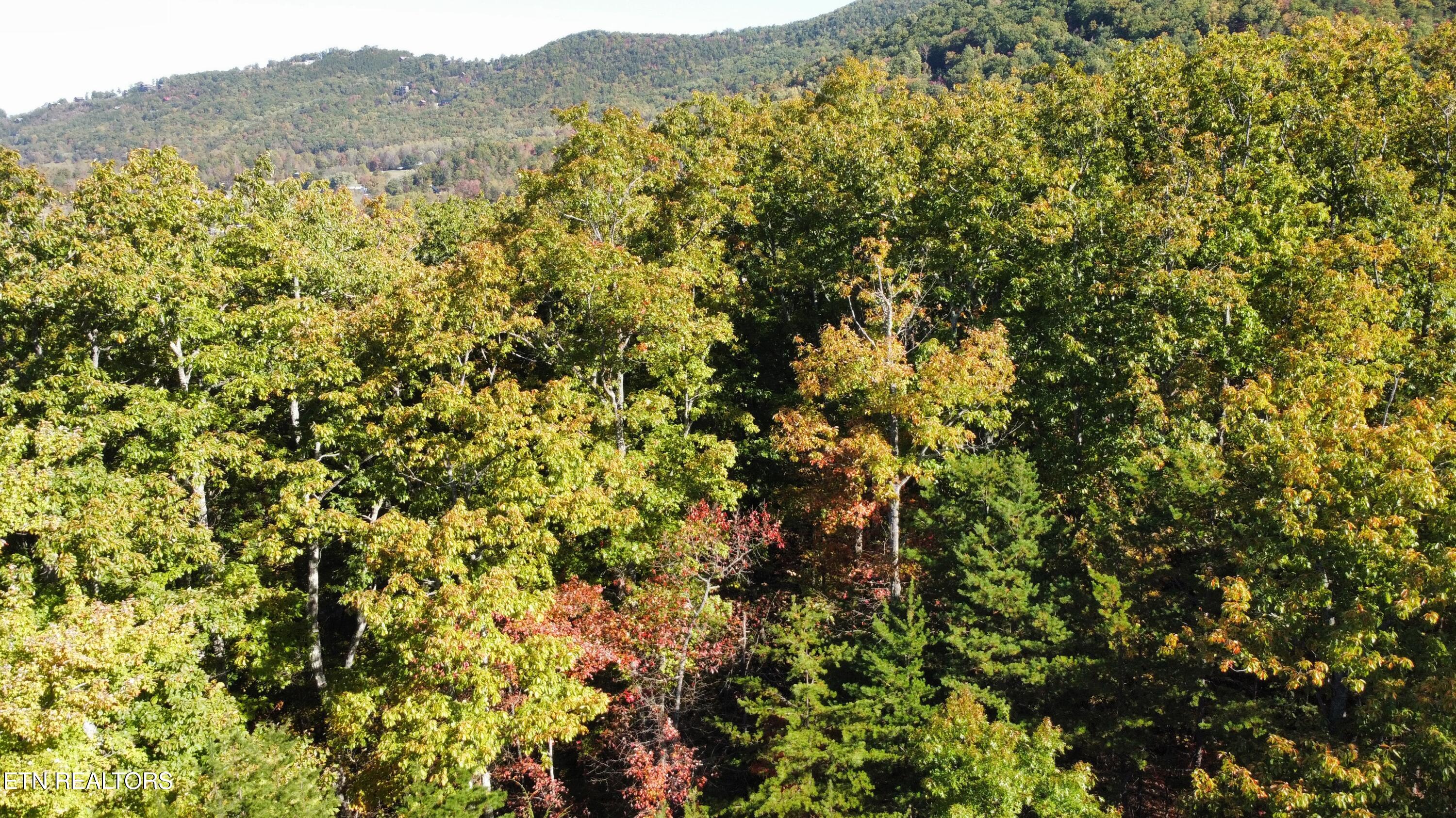 Covemont Road Sevierville TN 37862