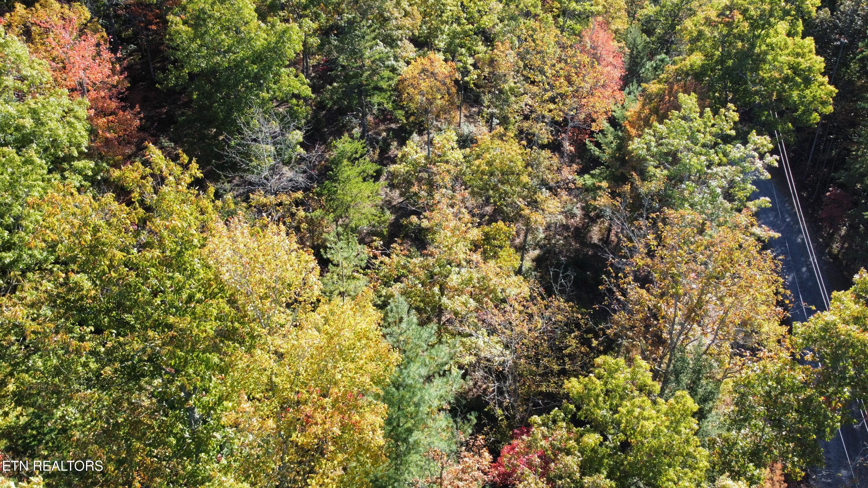 Covemont Road Sevierville TN 37862
