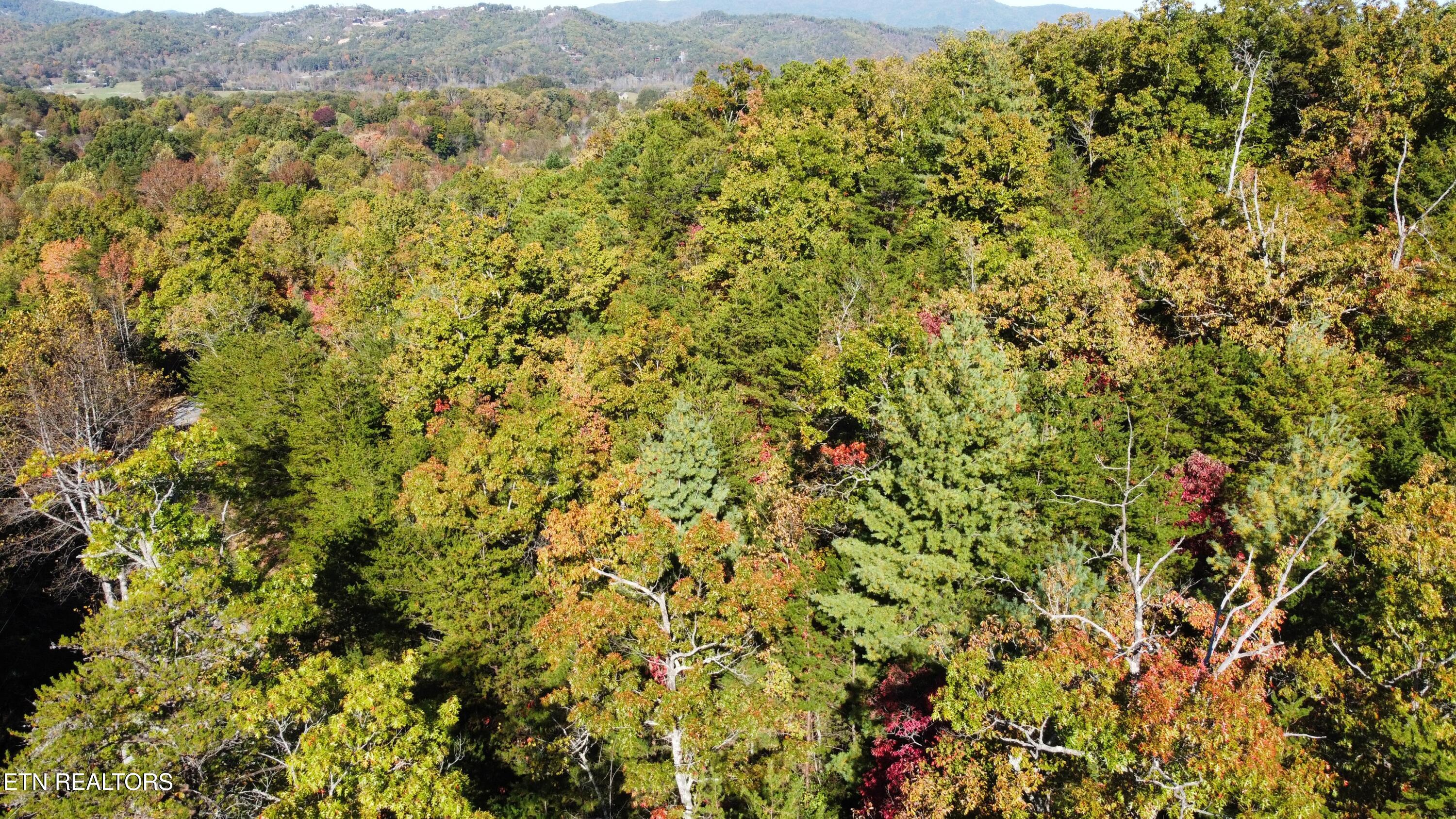 Covemont Road Sevierville TN 37862