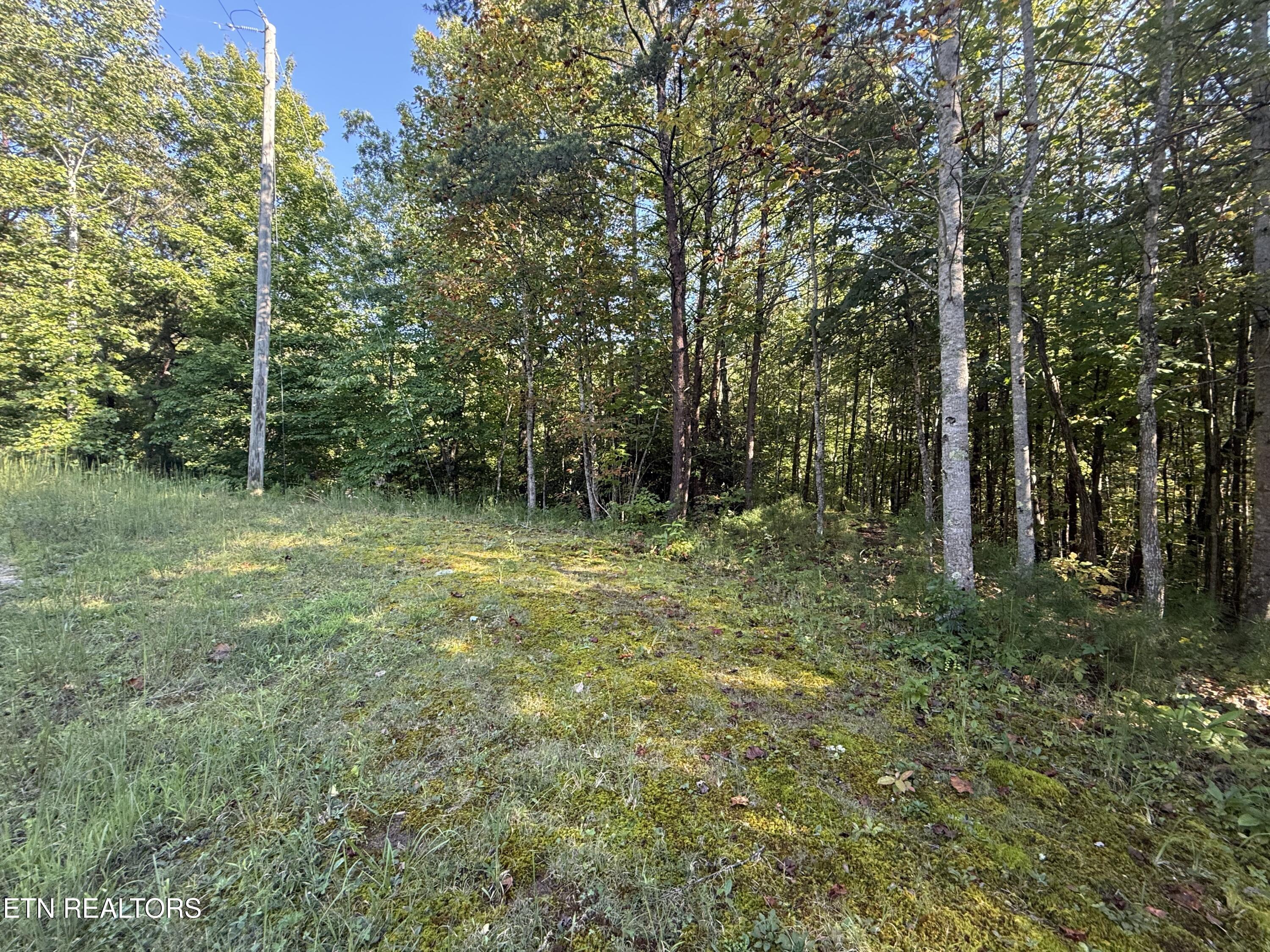 Covemont Road Sevierville TN 37862