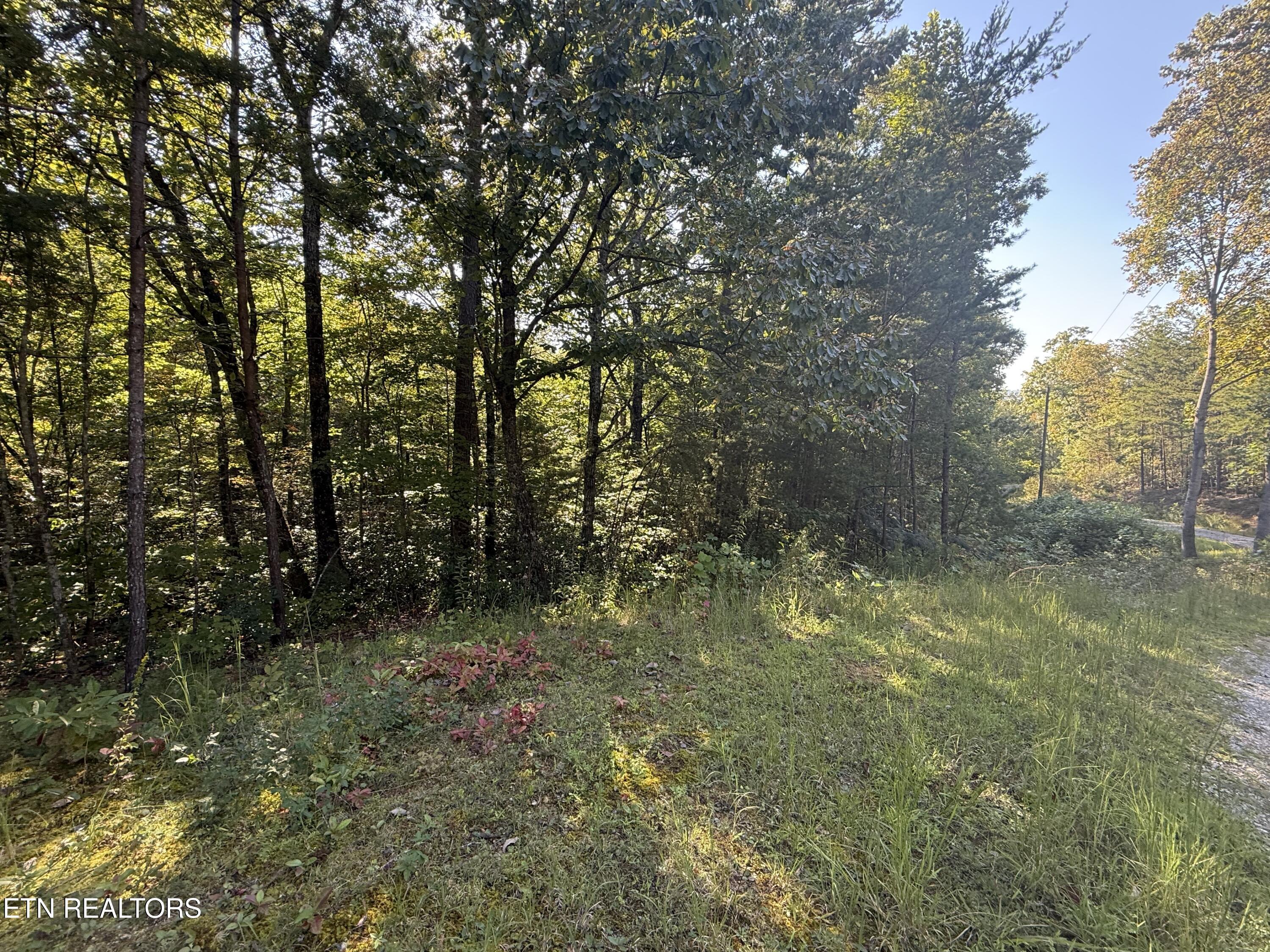 Covemont Road Sevierville TN 37862