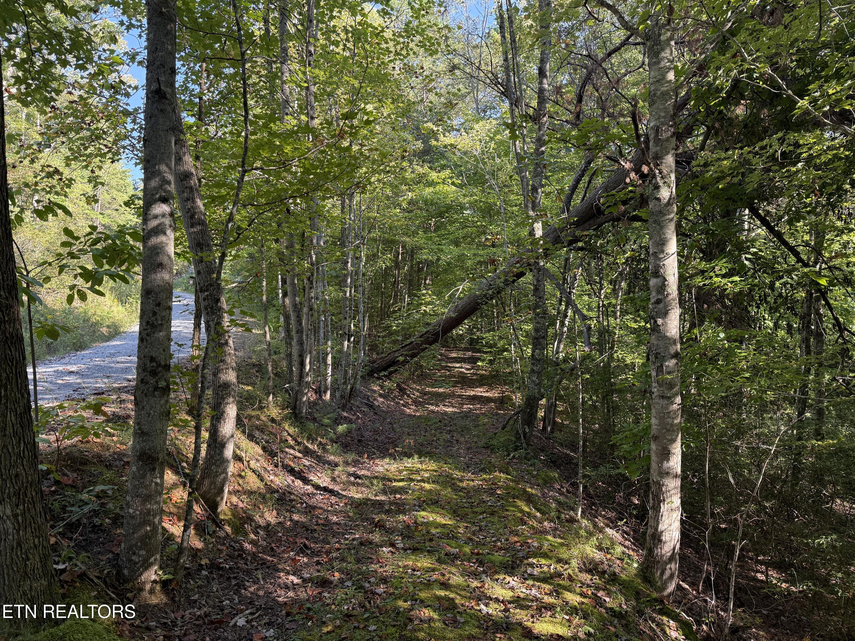 Covemont Road Sevierville TN 37862