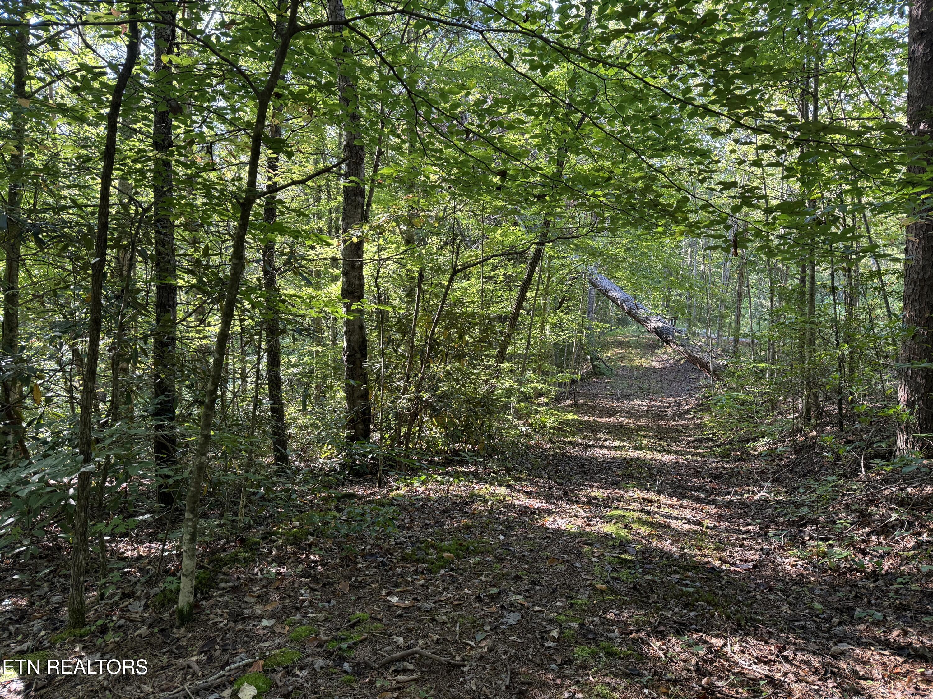 Covemont Road Sevierville TN 37862