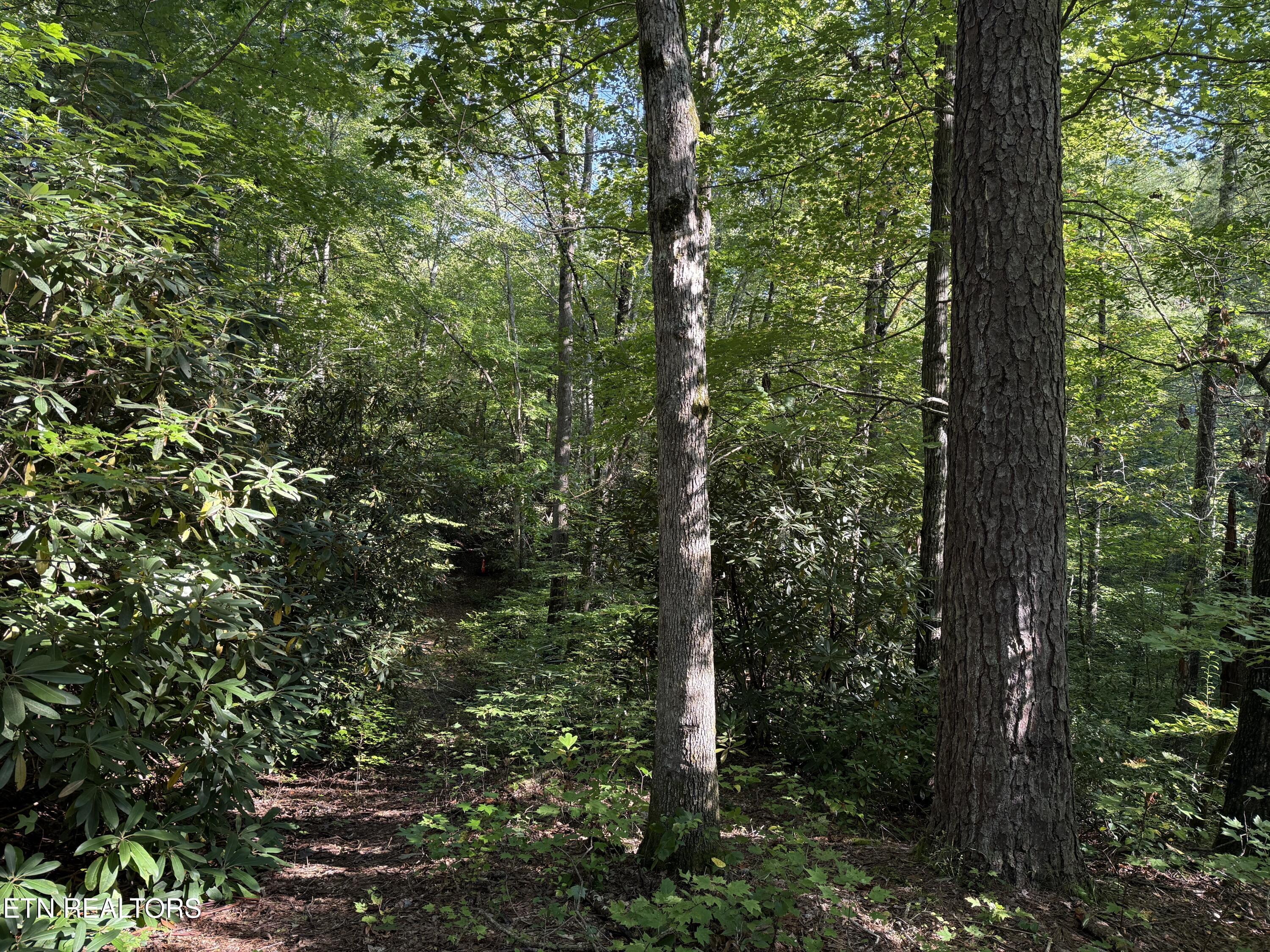 Covemont Road Sevierville TN 37862