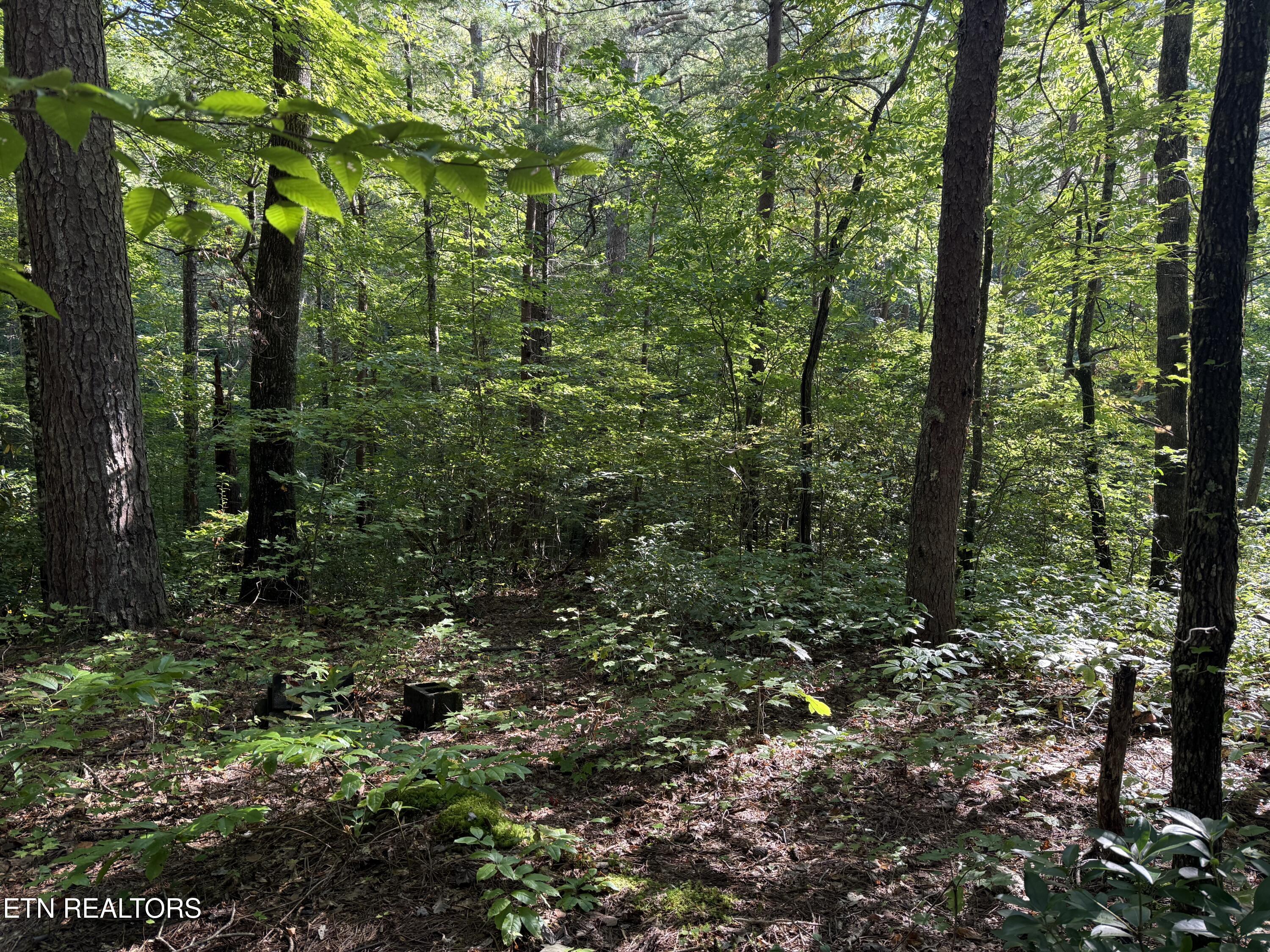 Covemont Road Sevierville TN 37862
