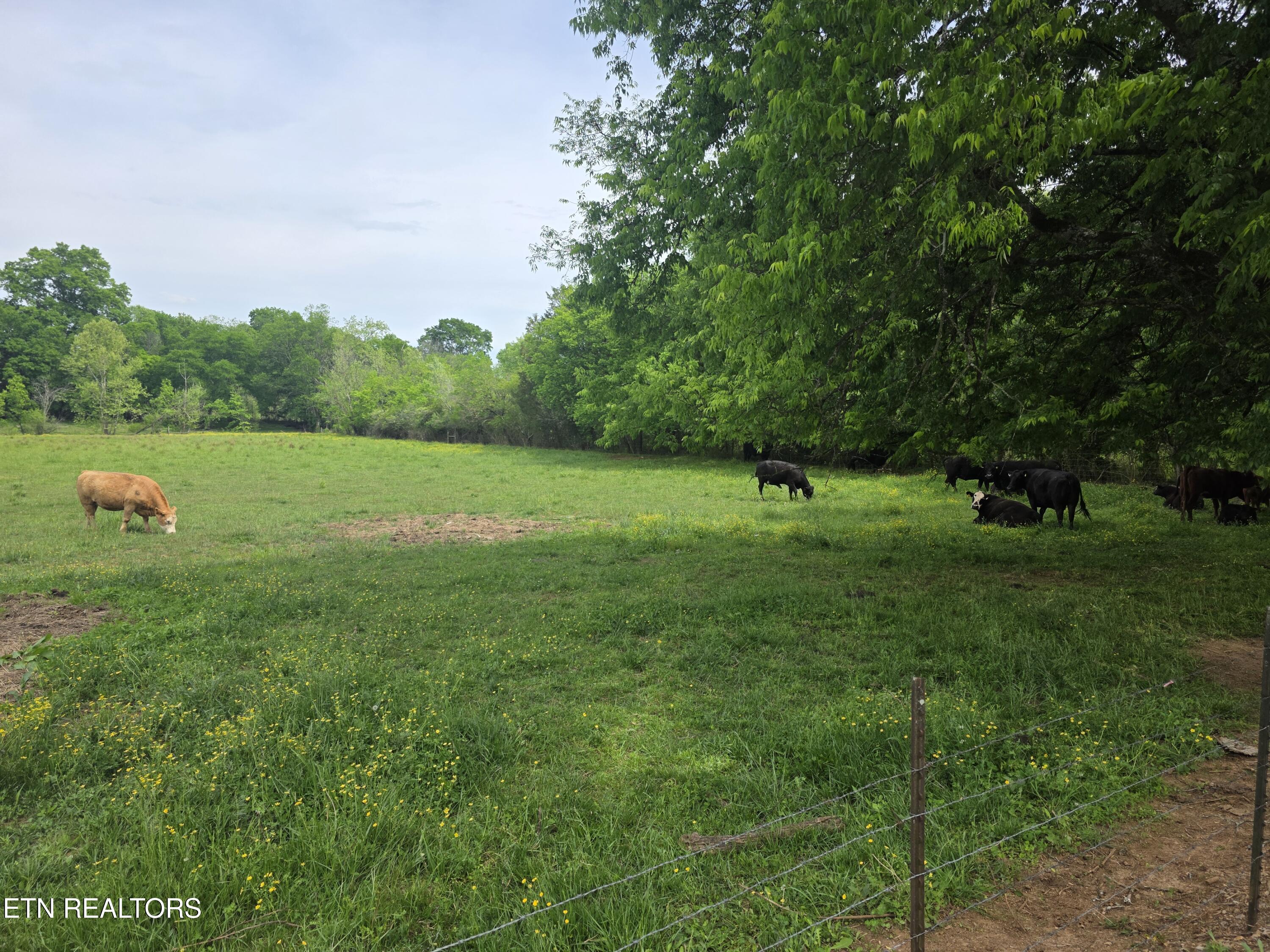 Lot 1 Maloneyville Road Corryton TN 37721