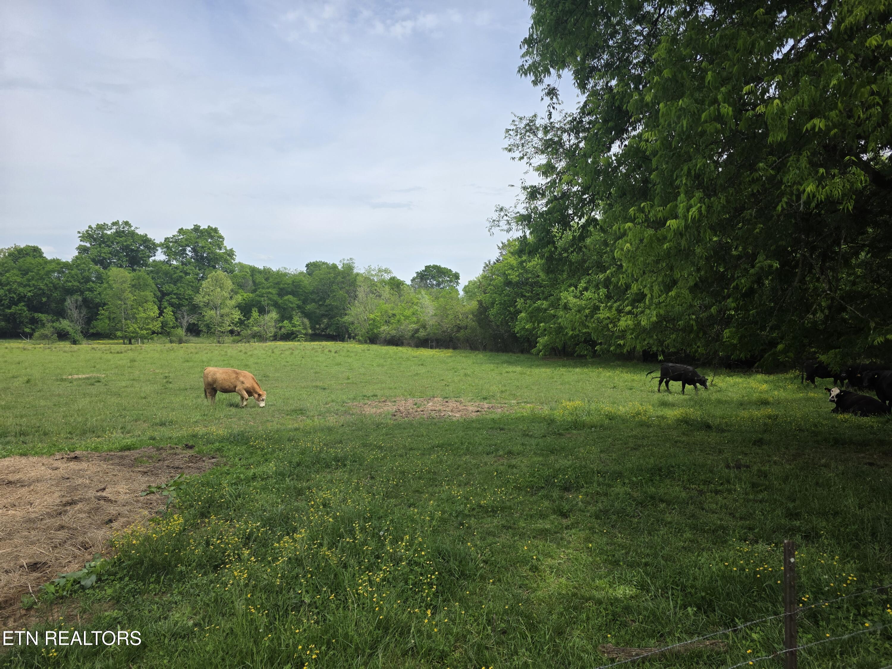 Lot 1 Maloneyville Road Corryton TN 37721