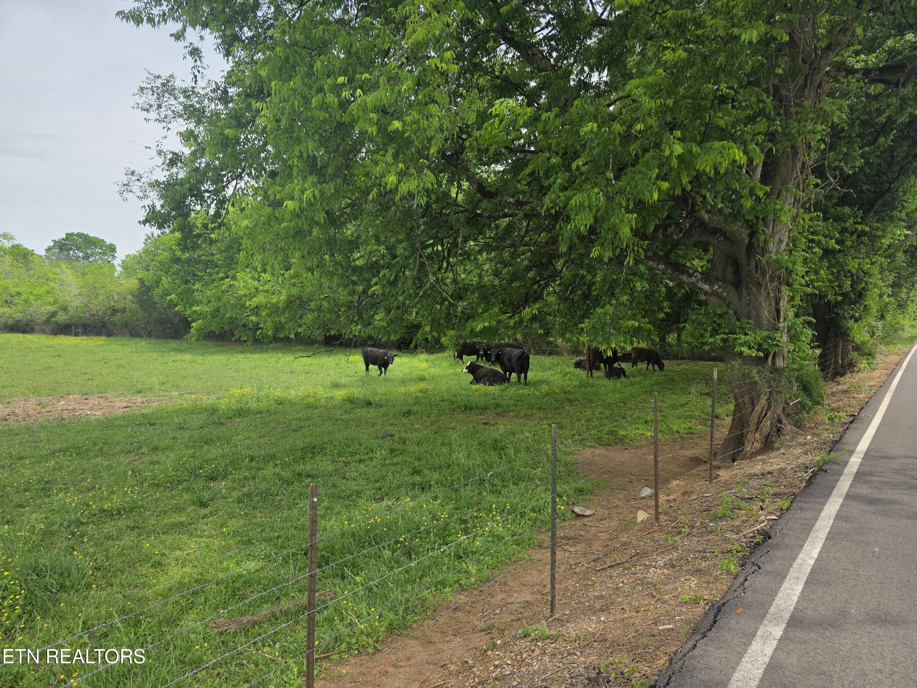 Lot 1 Maloneyville Road Corryton TN 37721
