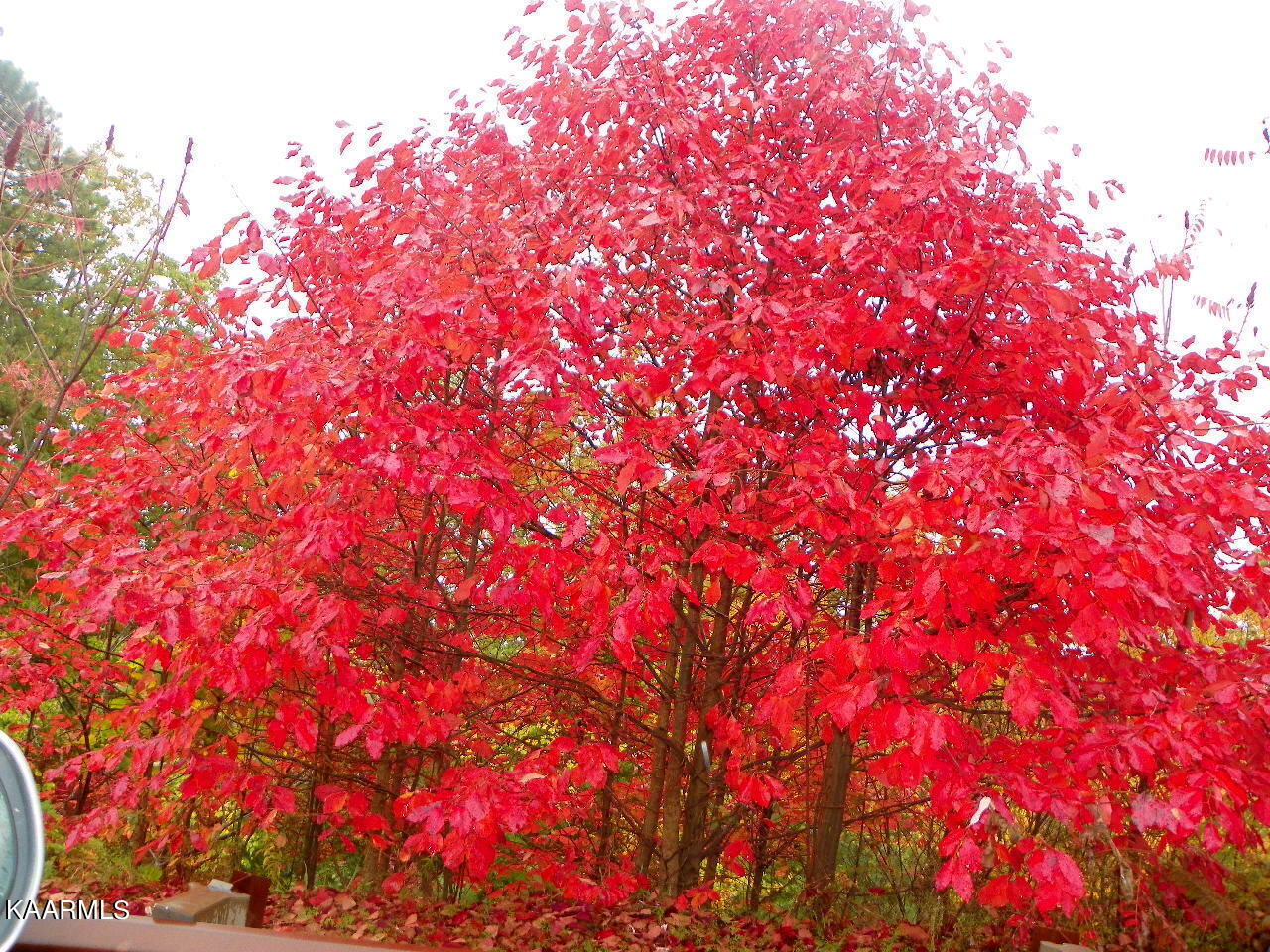 Lot 19 Laurel Top Way Sevierville TN 37863