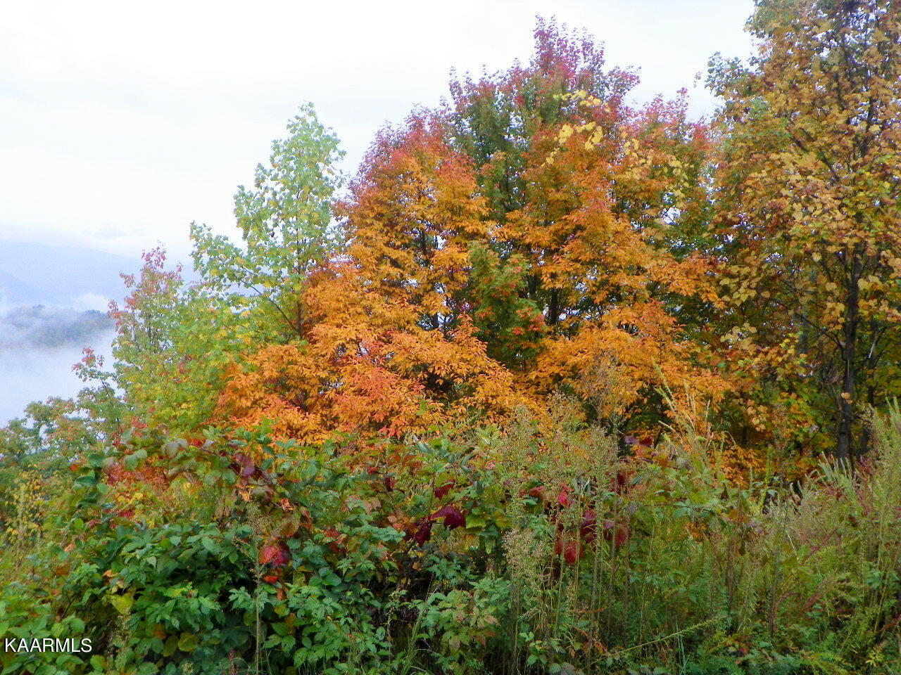 Lot 19 Laurel Top Way Sevierville TN 37863