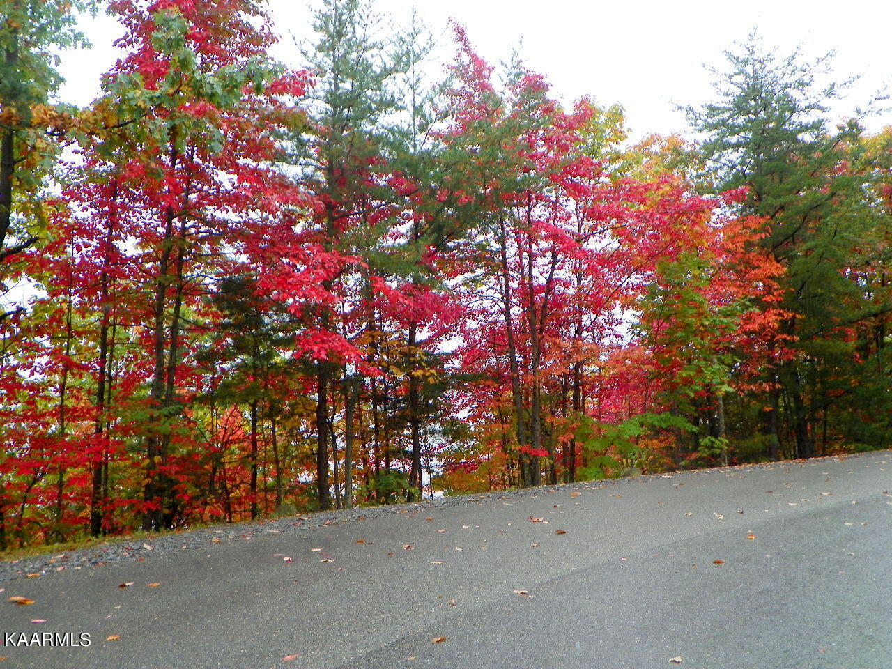 Lot 19 Laurel Top Way Sevierville TN 37863