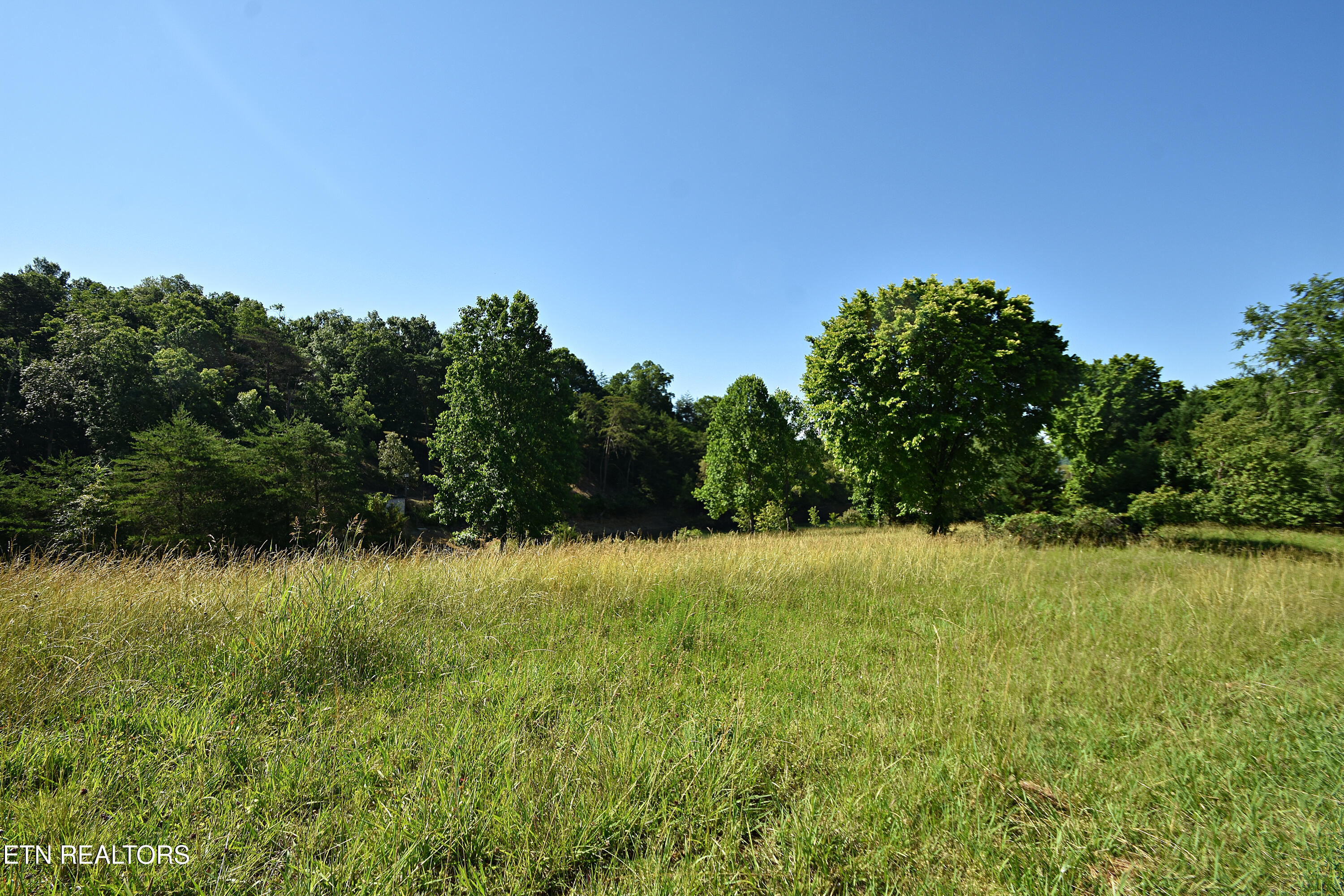 Lot 19 Cypress Drive Dandridge TN 37725