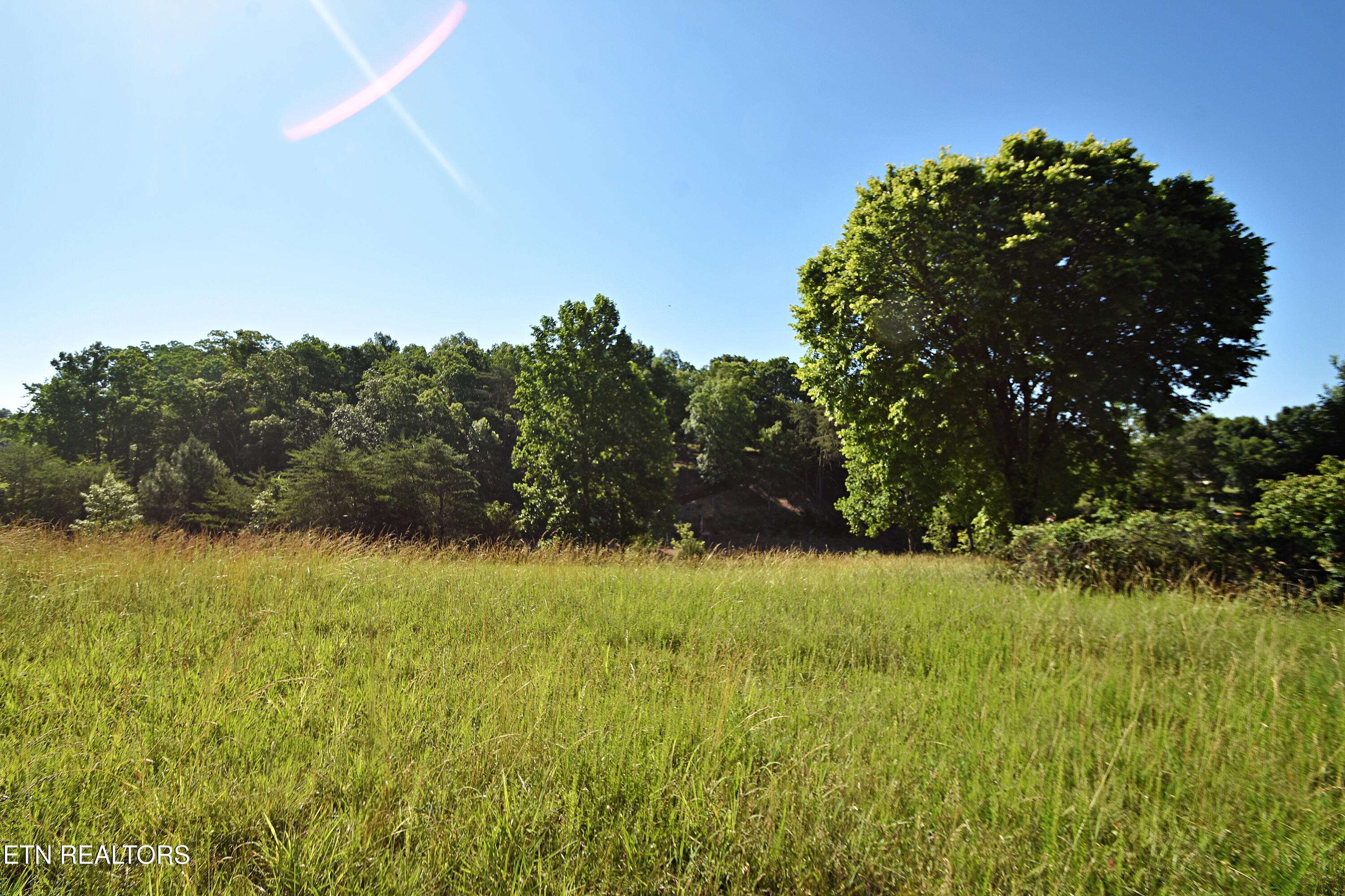 Lot 19 Cypress Drive Dandridge TN 37725