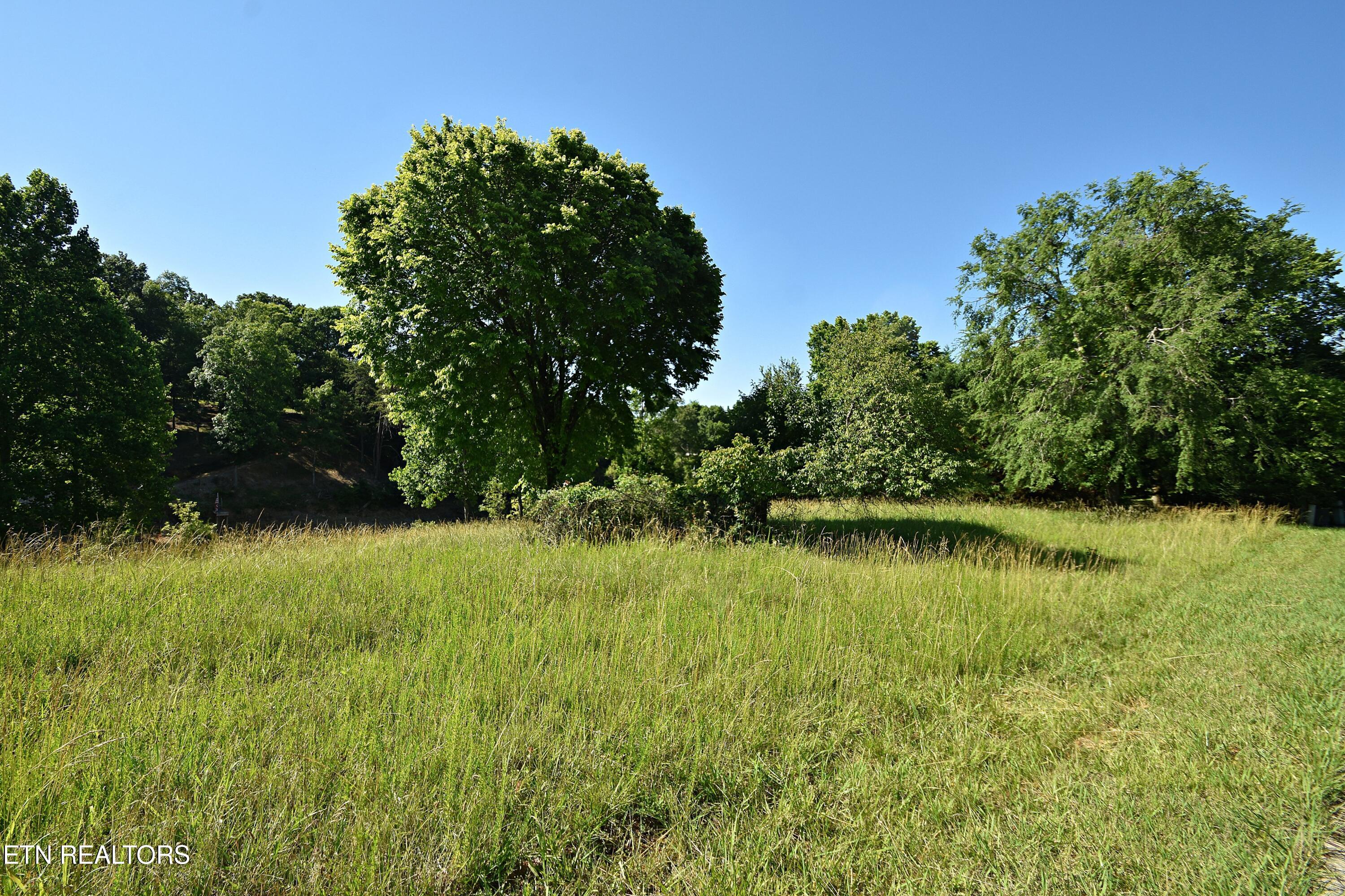 Lot 19 Cypress Drive Dandridge TN 37725
